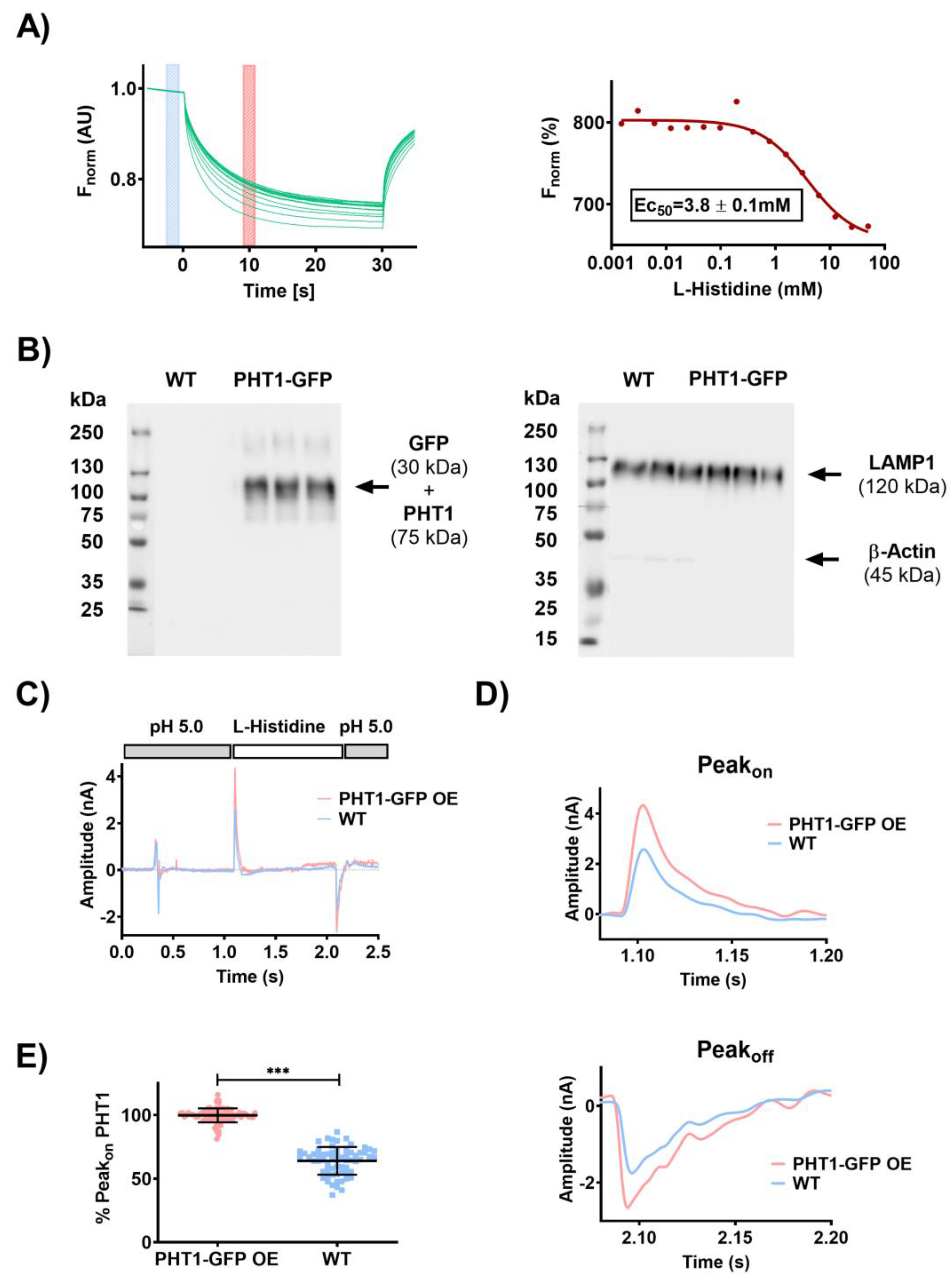 Preprints 93496 g001