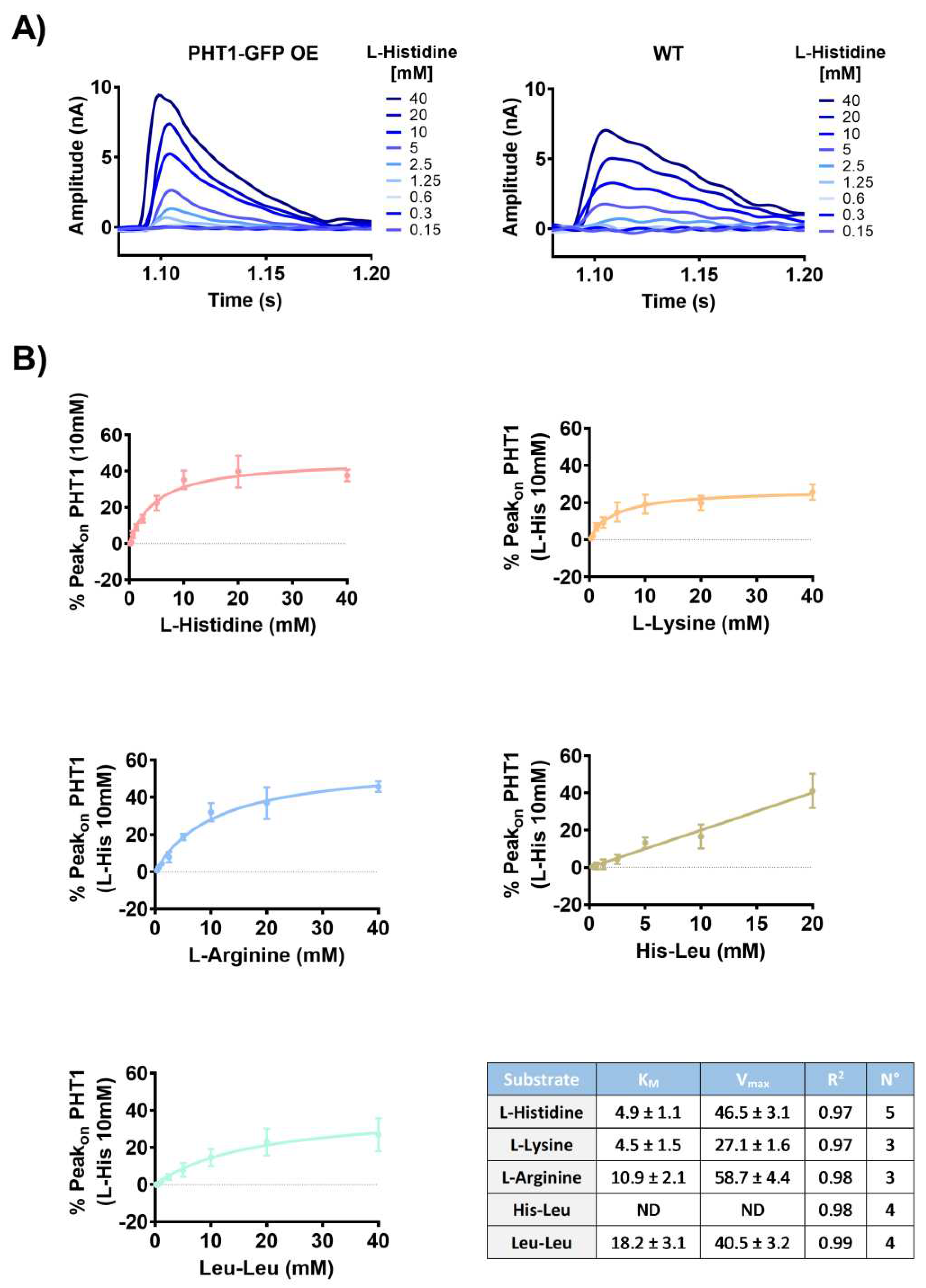 Preprints 93496 g003