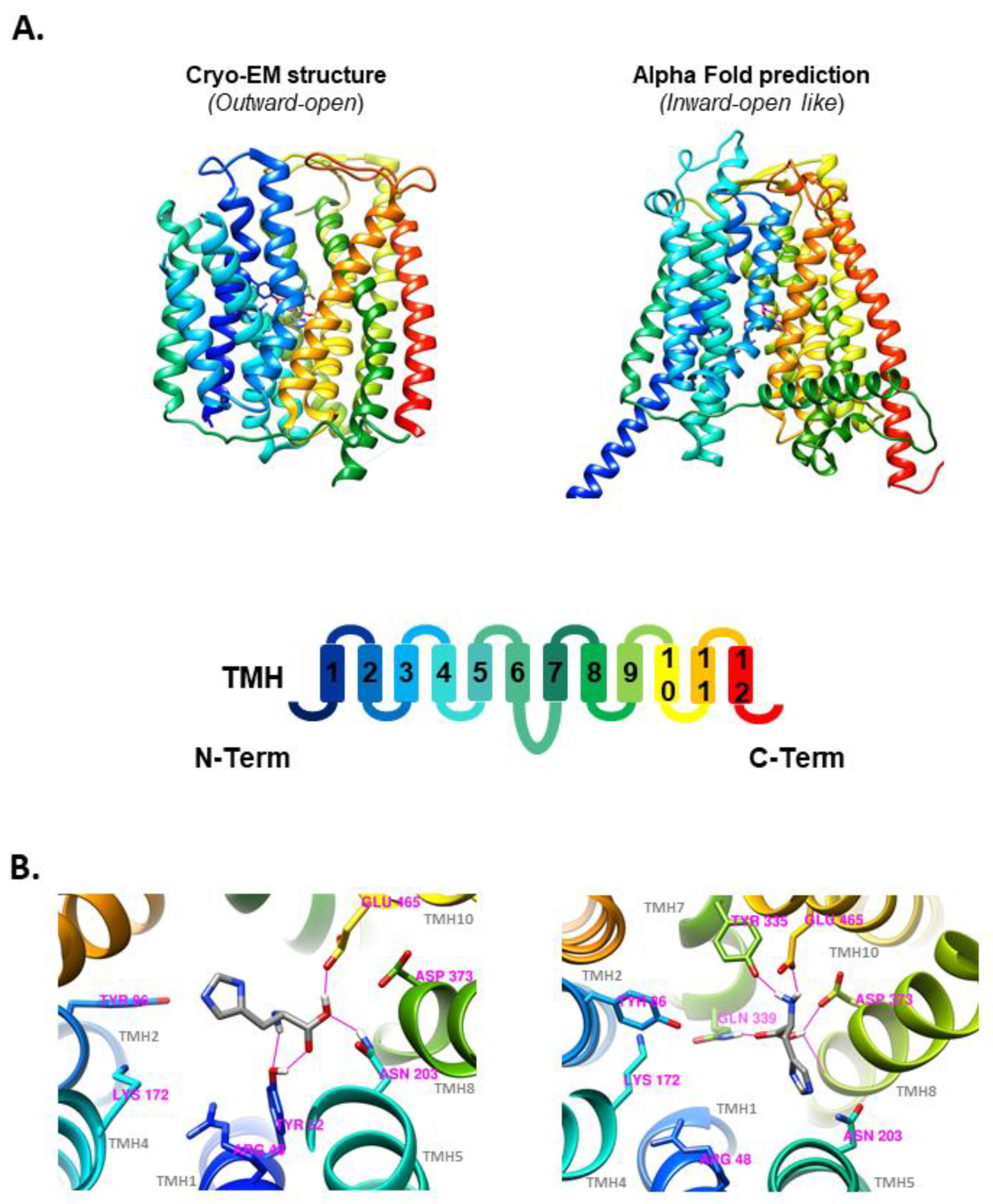 Preprints 93496 g005