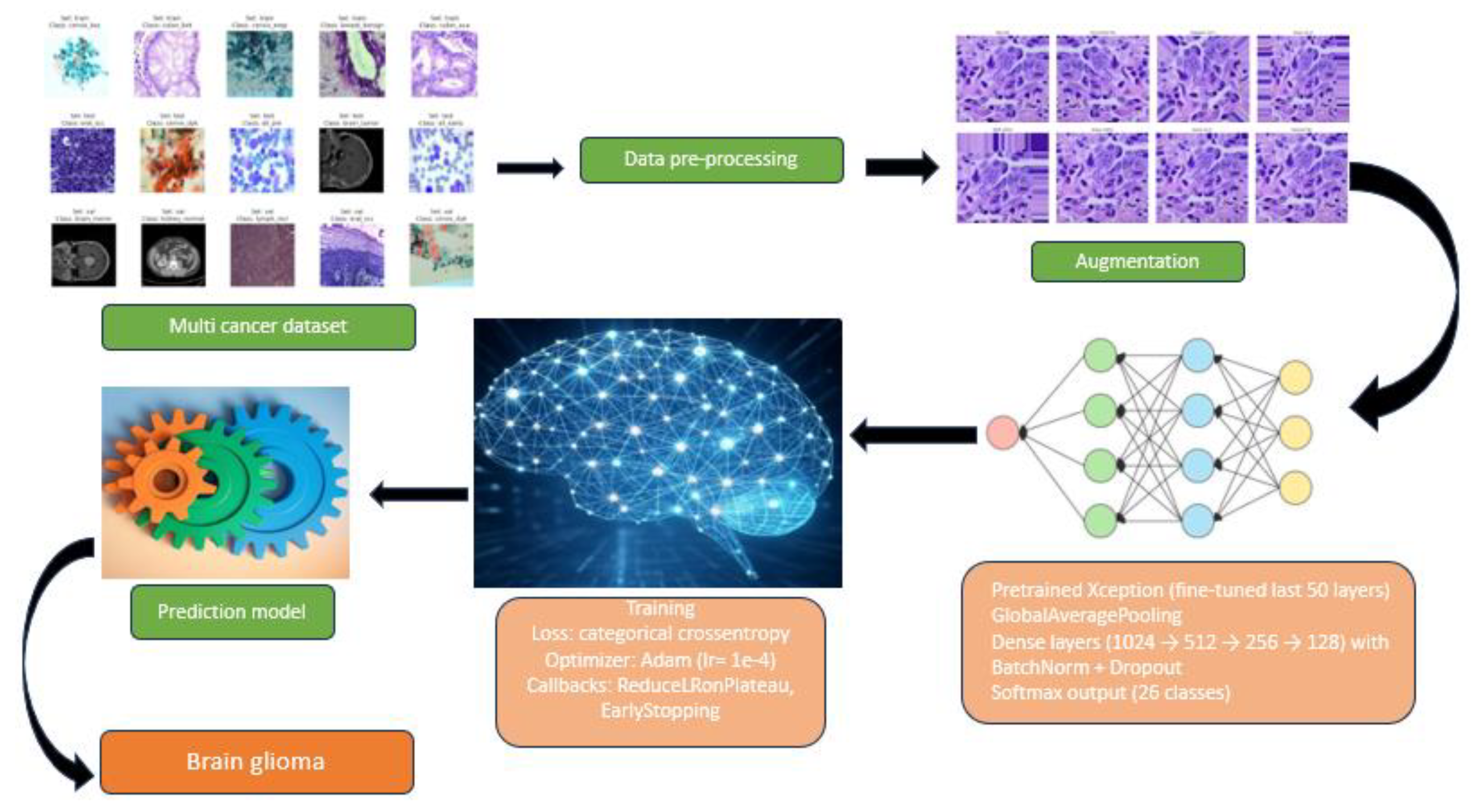 Preprints 181654 g002
