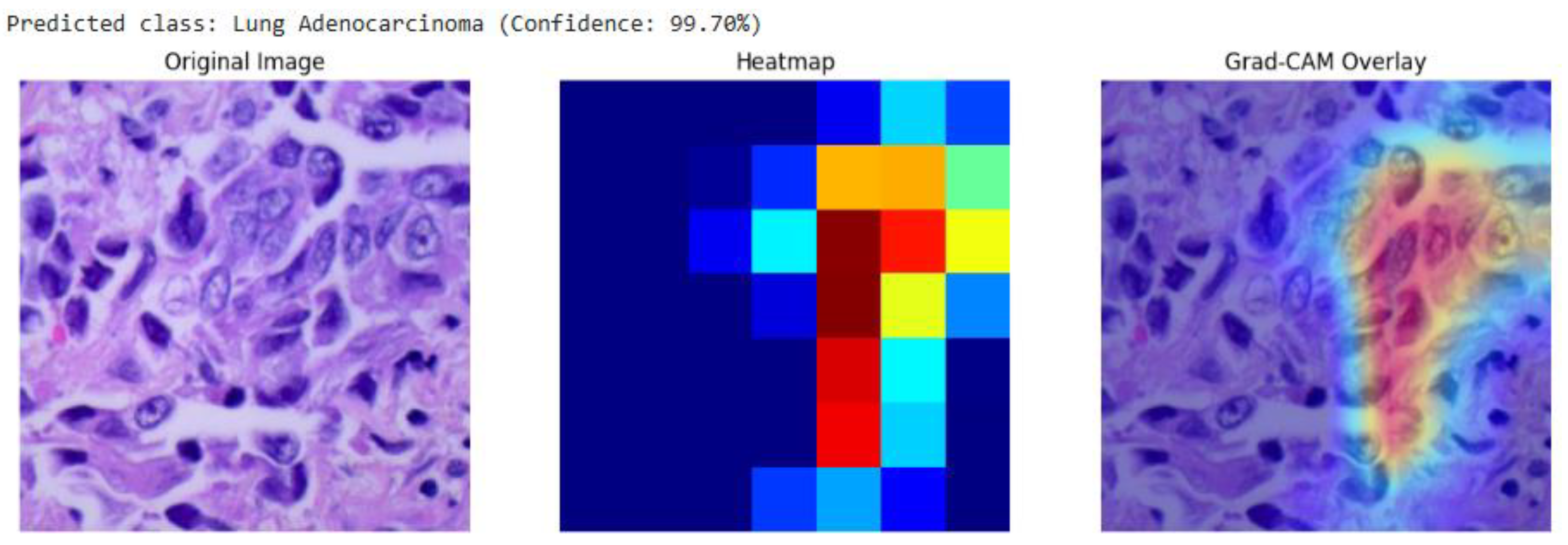 Preprints 181654 g007