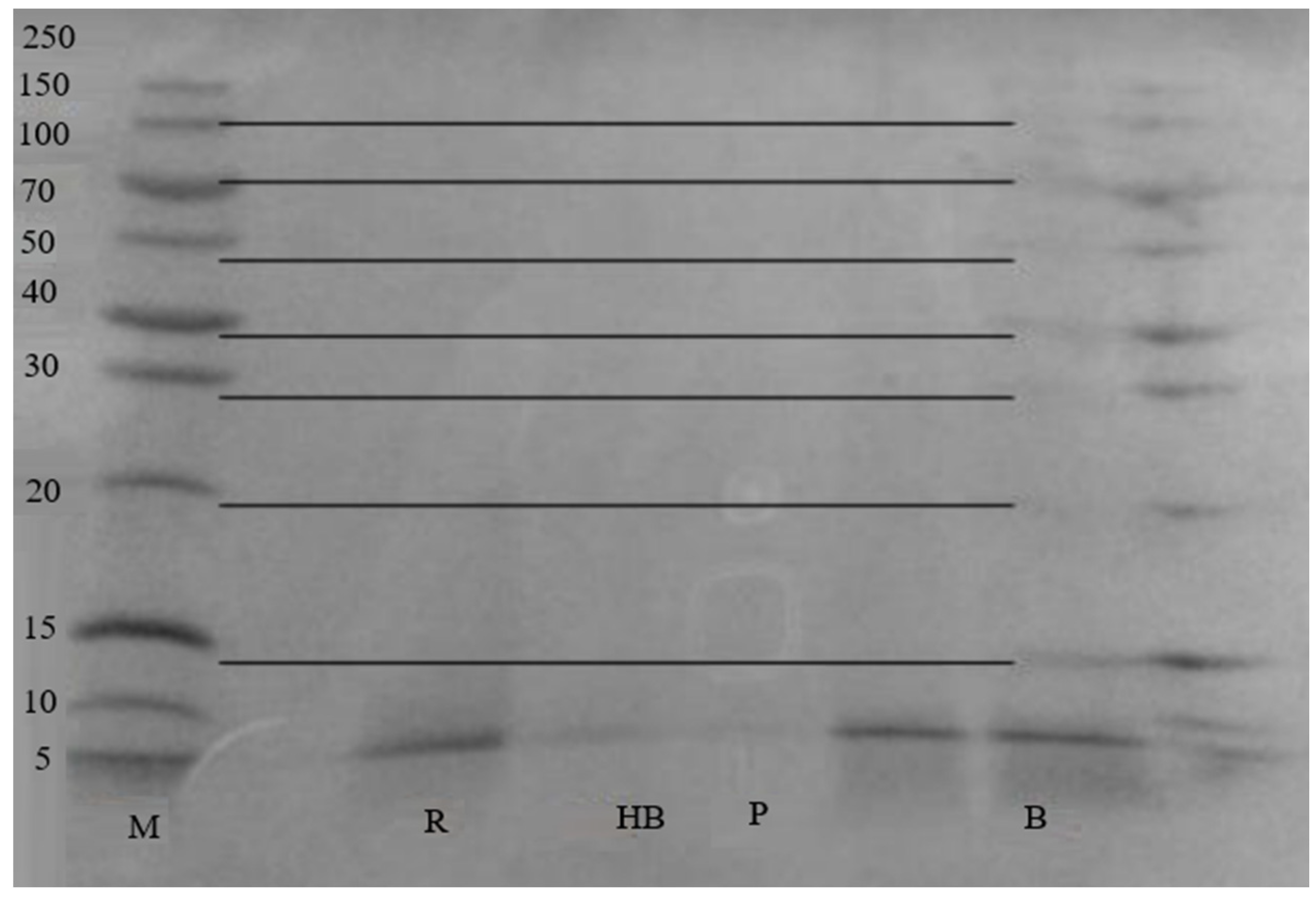 Preprints 141261 g005
