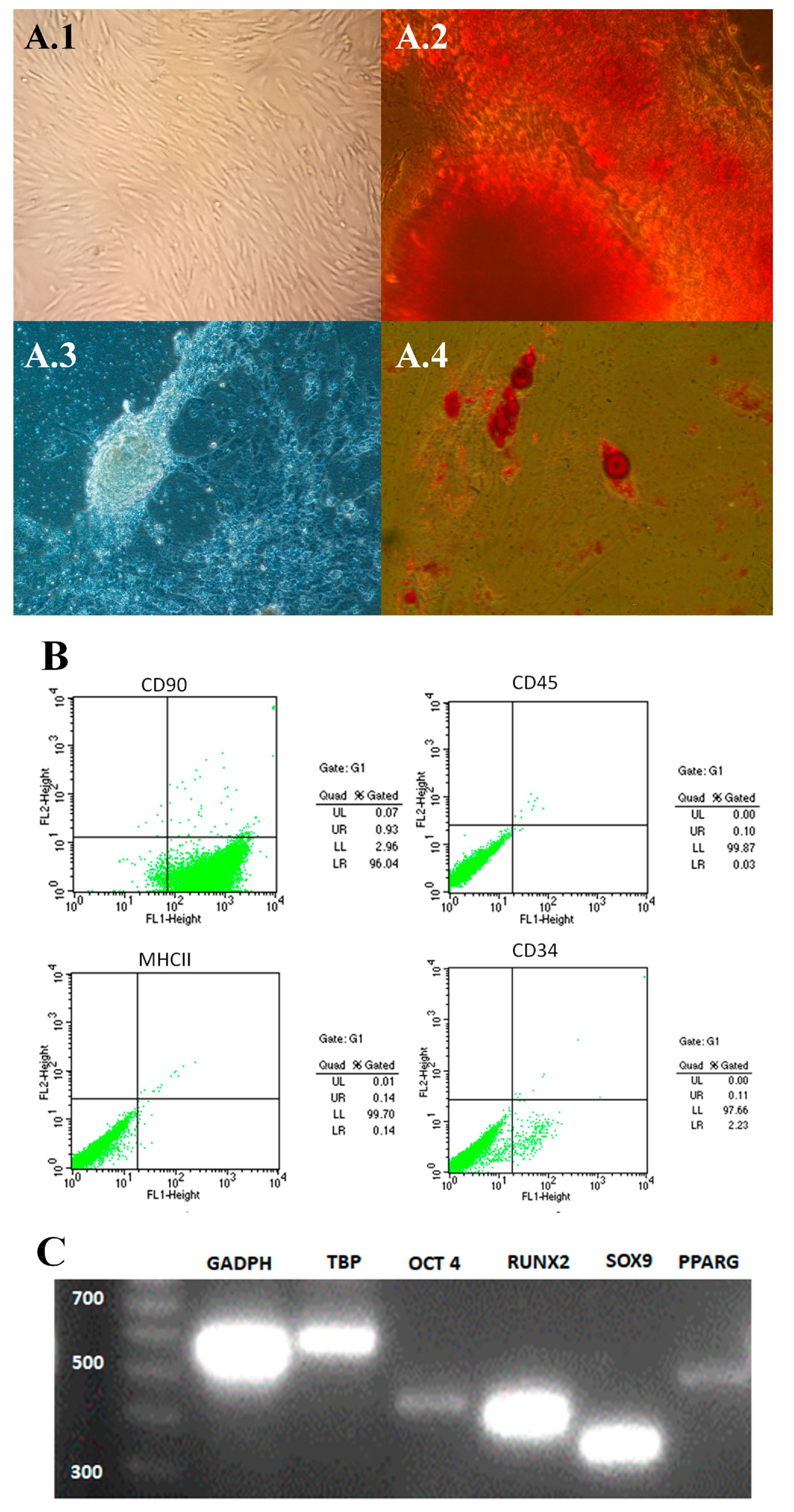 Preprints 111958 g002