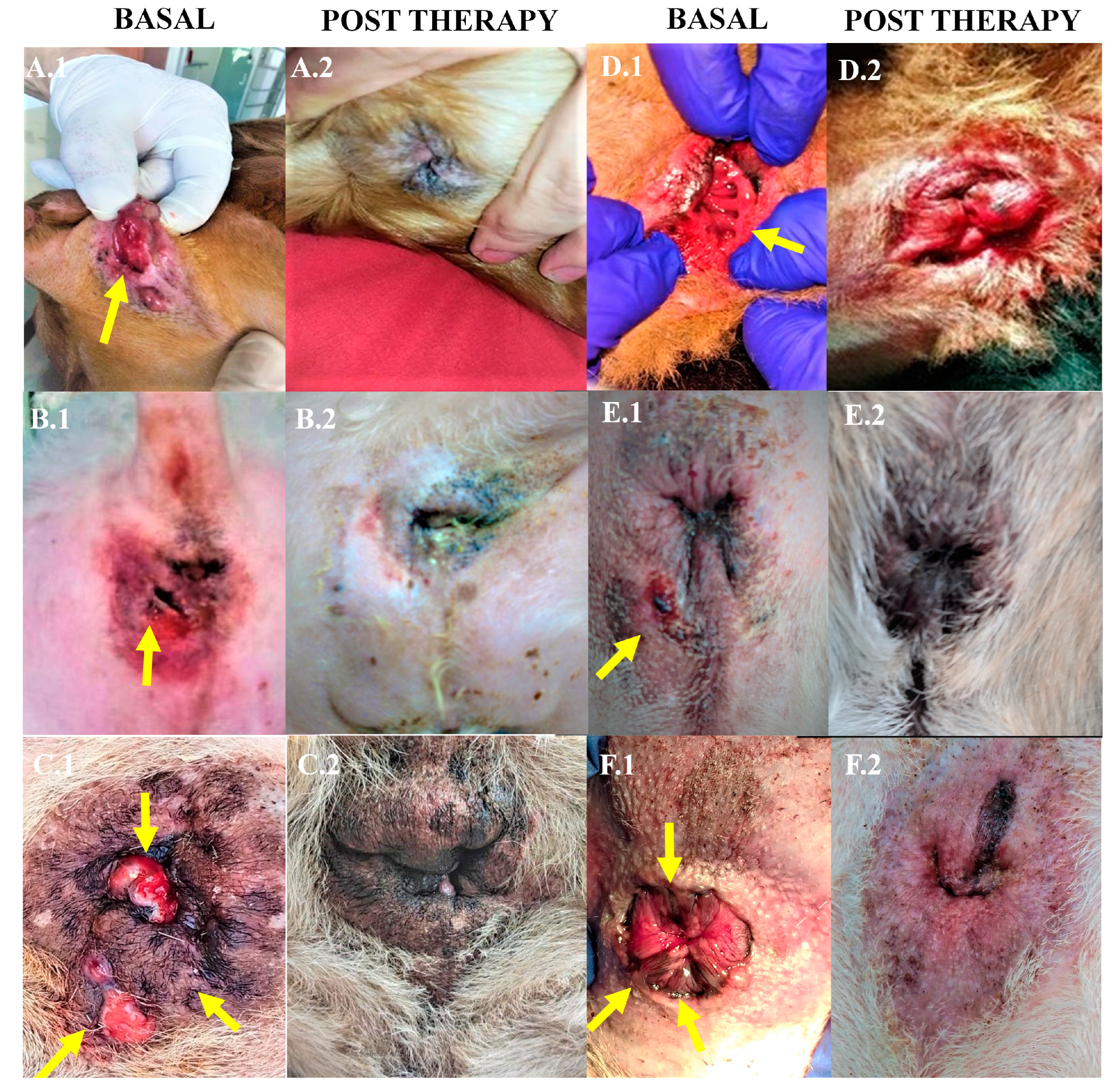 Preprints 111958 g004