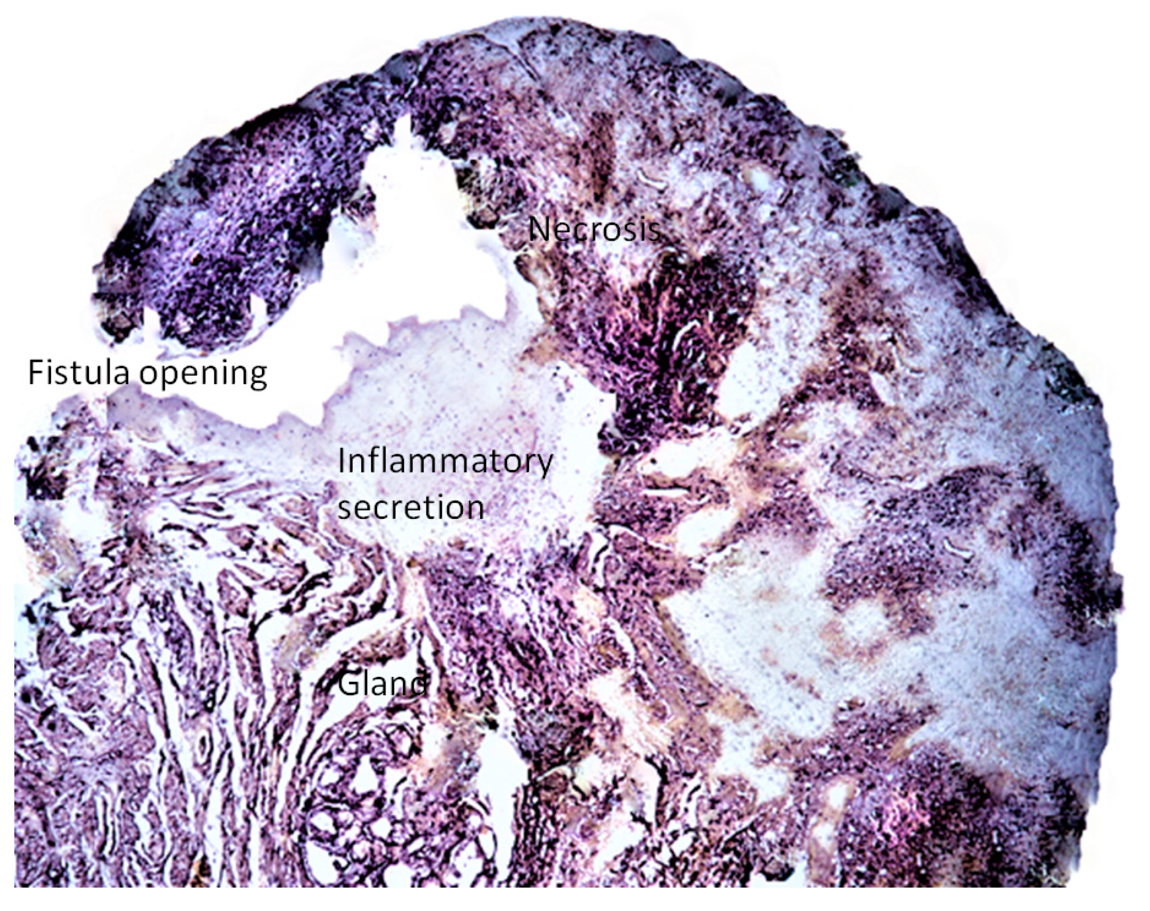 Preprints 111958 g006