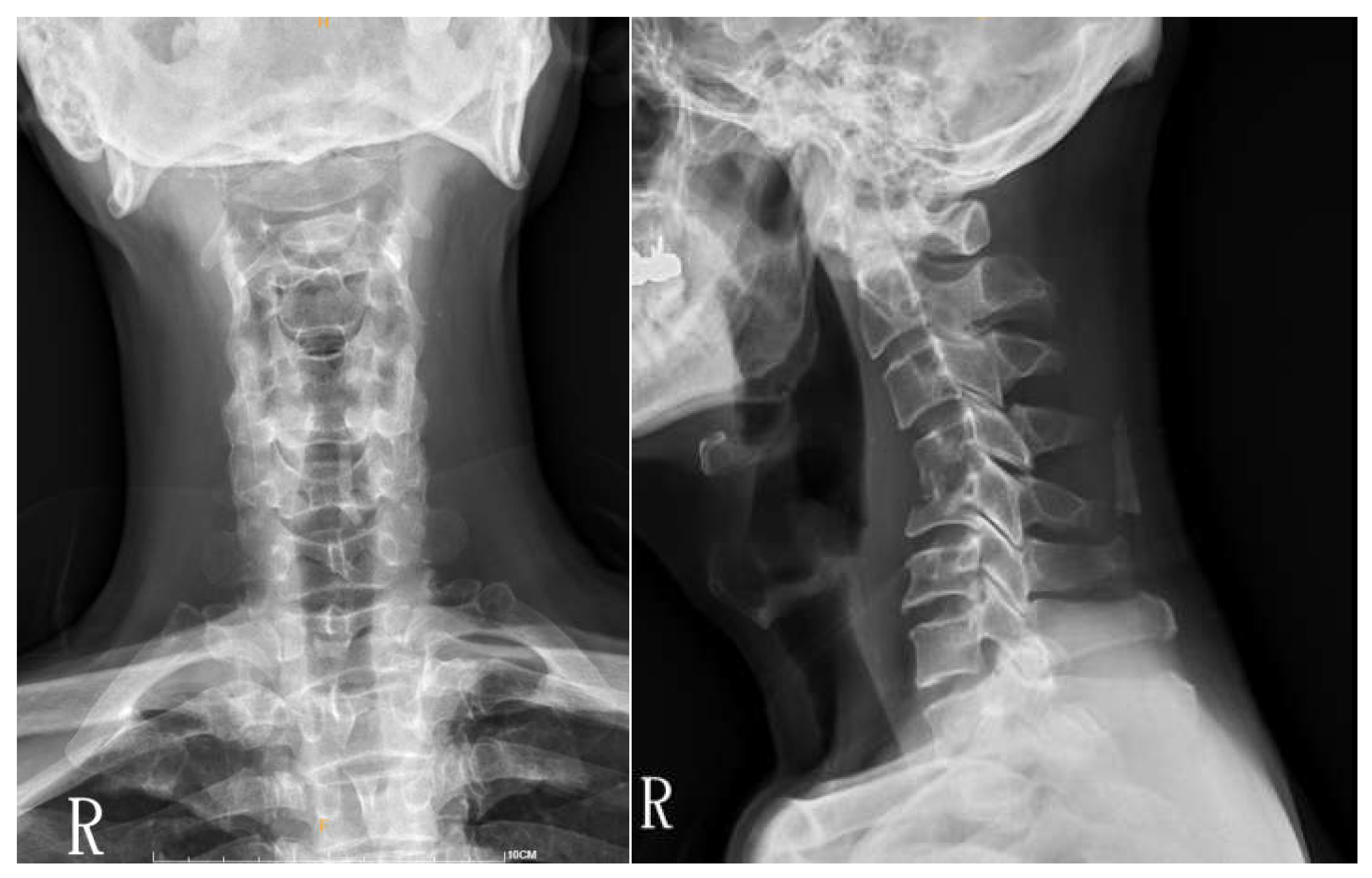 Preprints 83840 g001