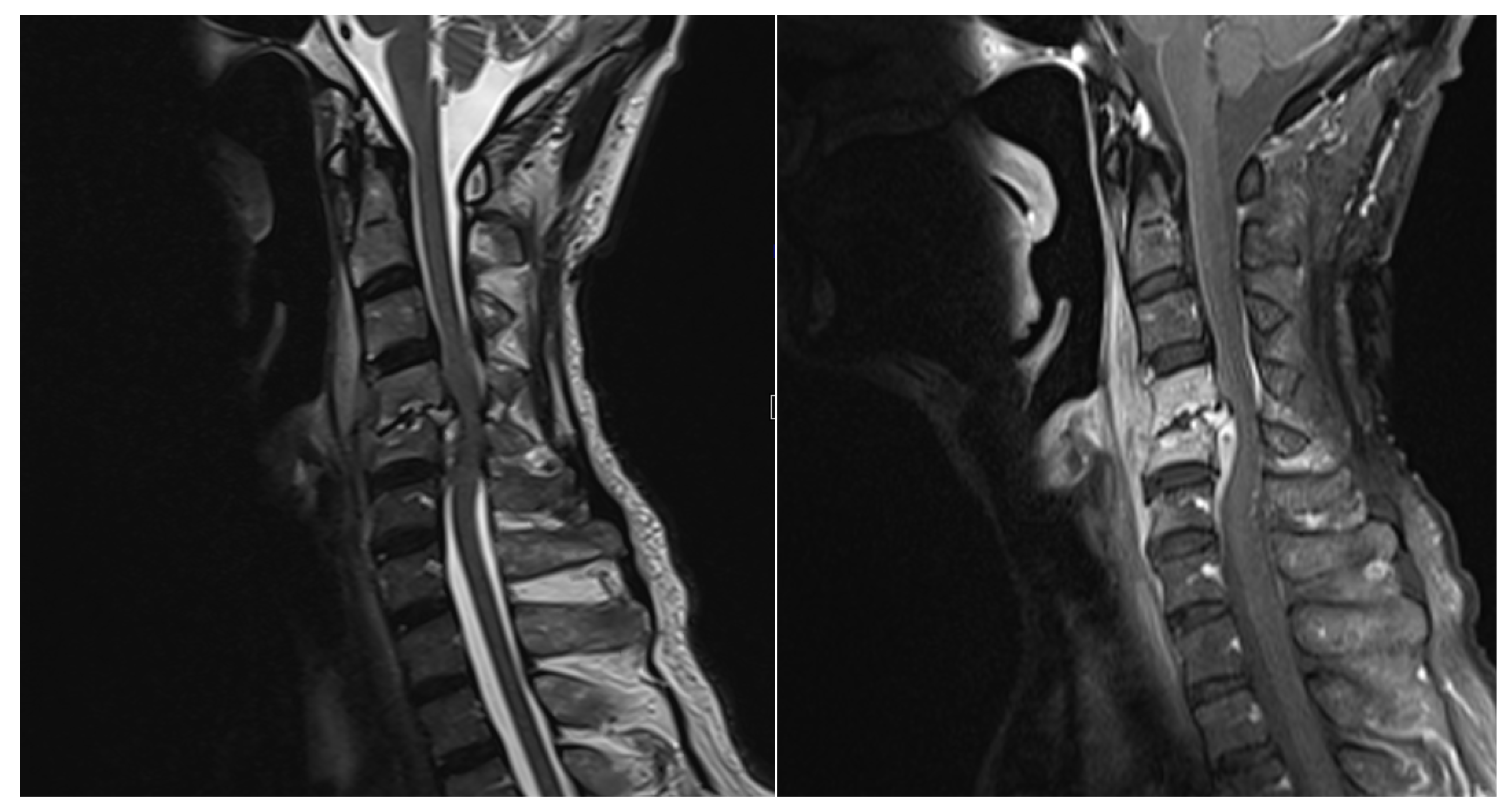 Preprints 83840 g002