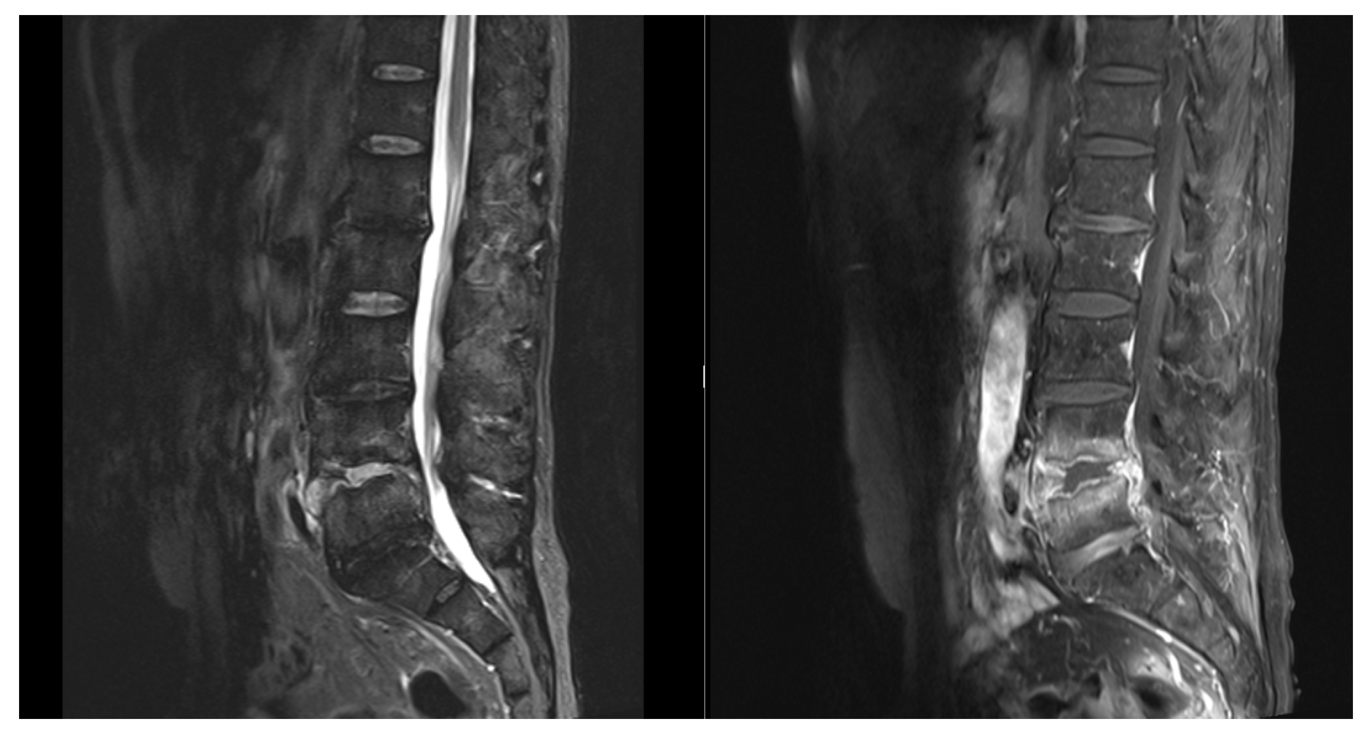 Preprints 83840 g004