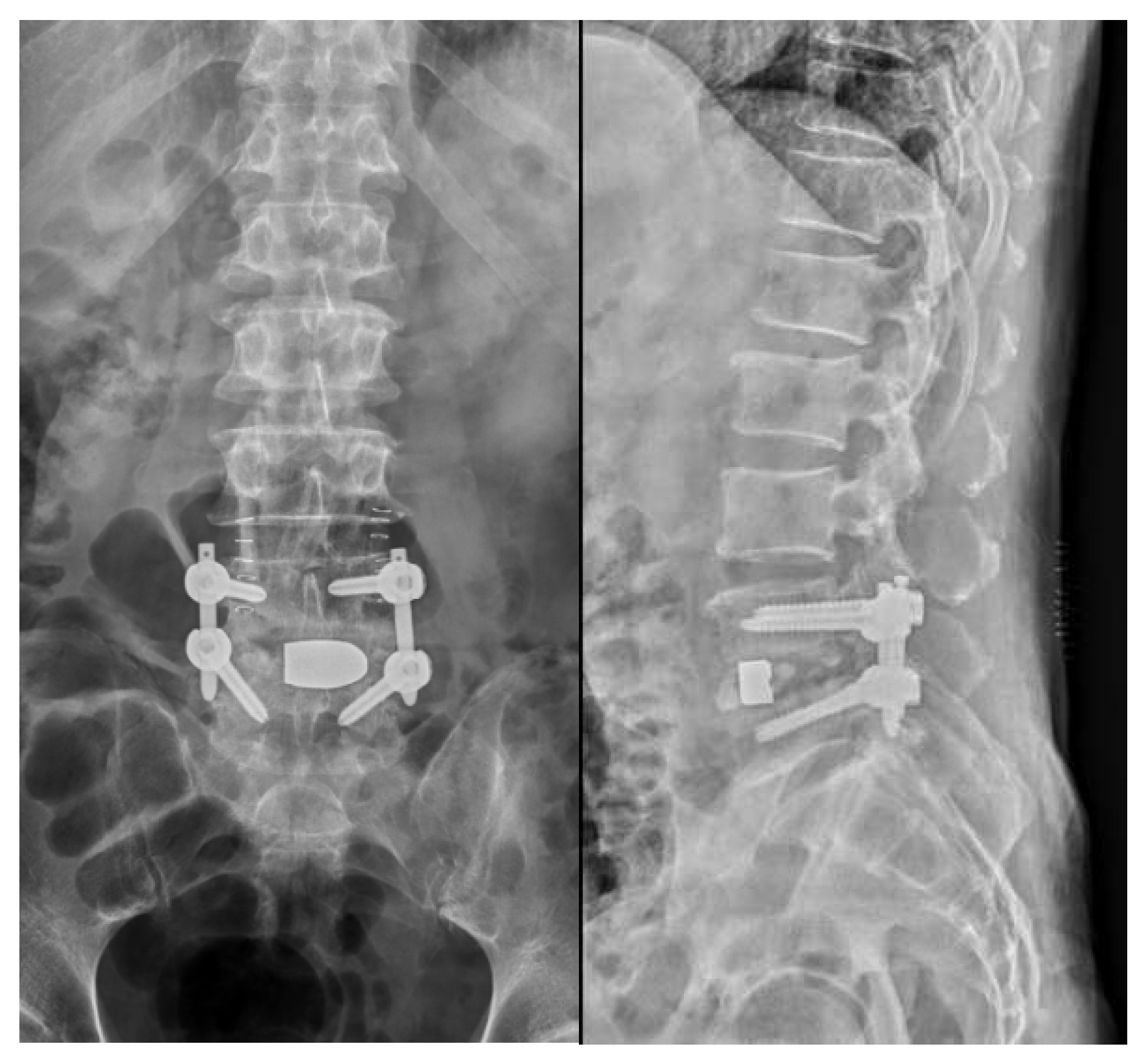 Preprints 83840 g005