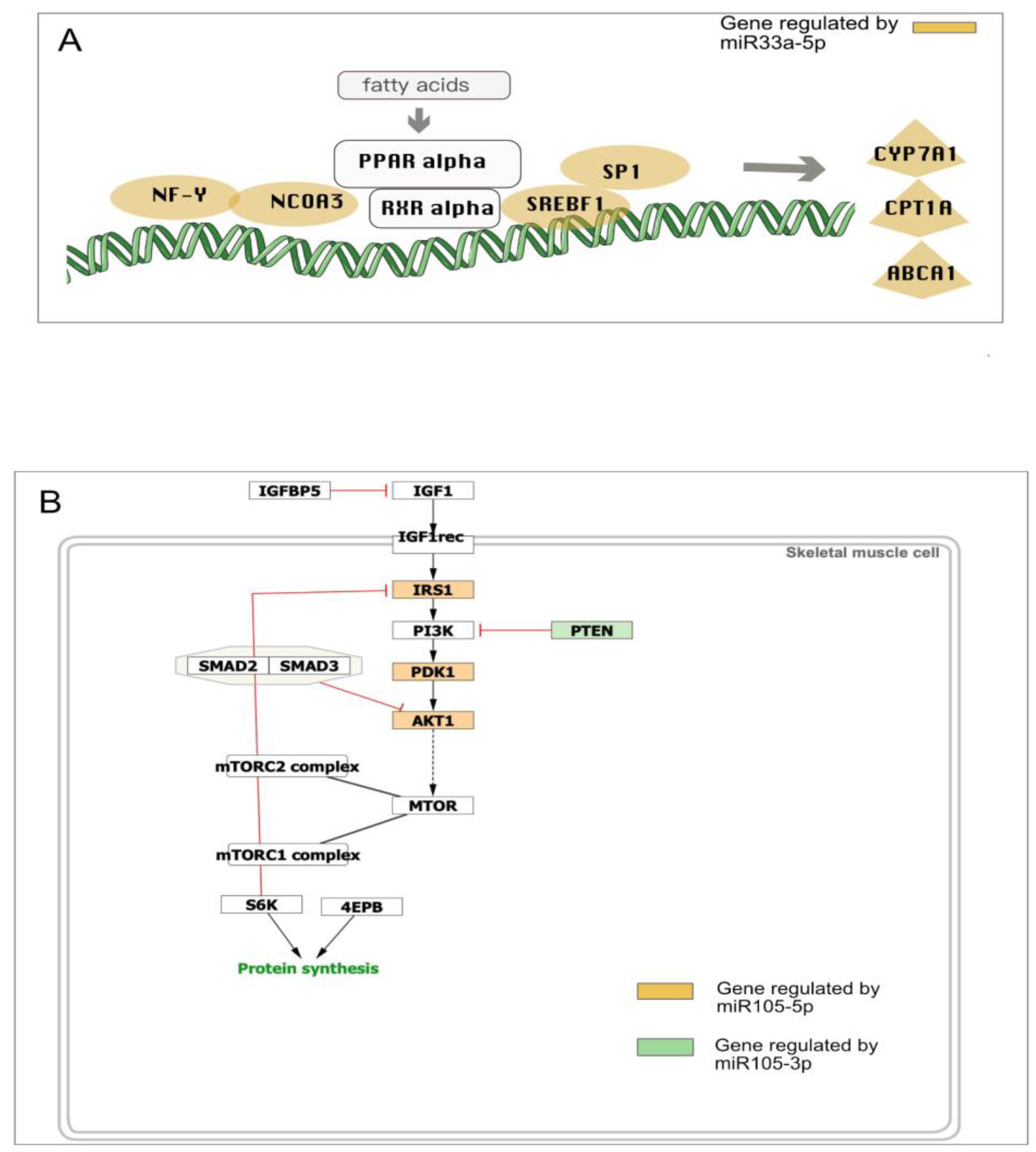 Preprints 142338 g006