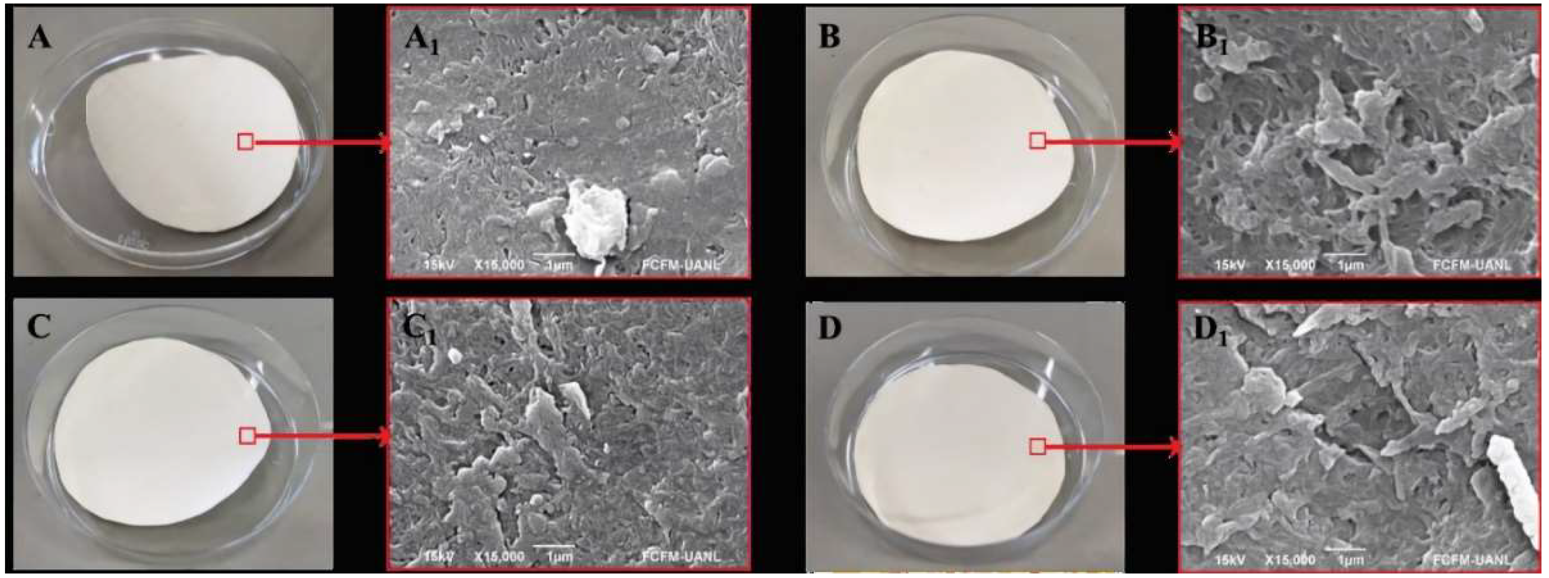 Preprints 142555 g001