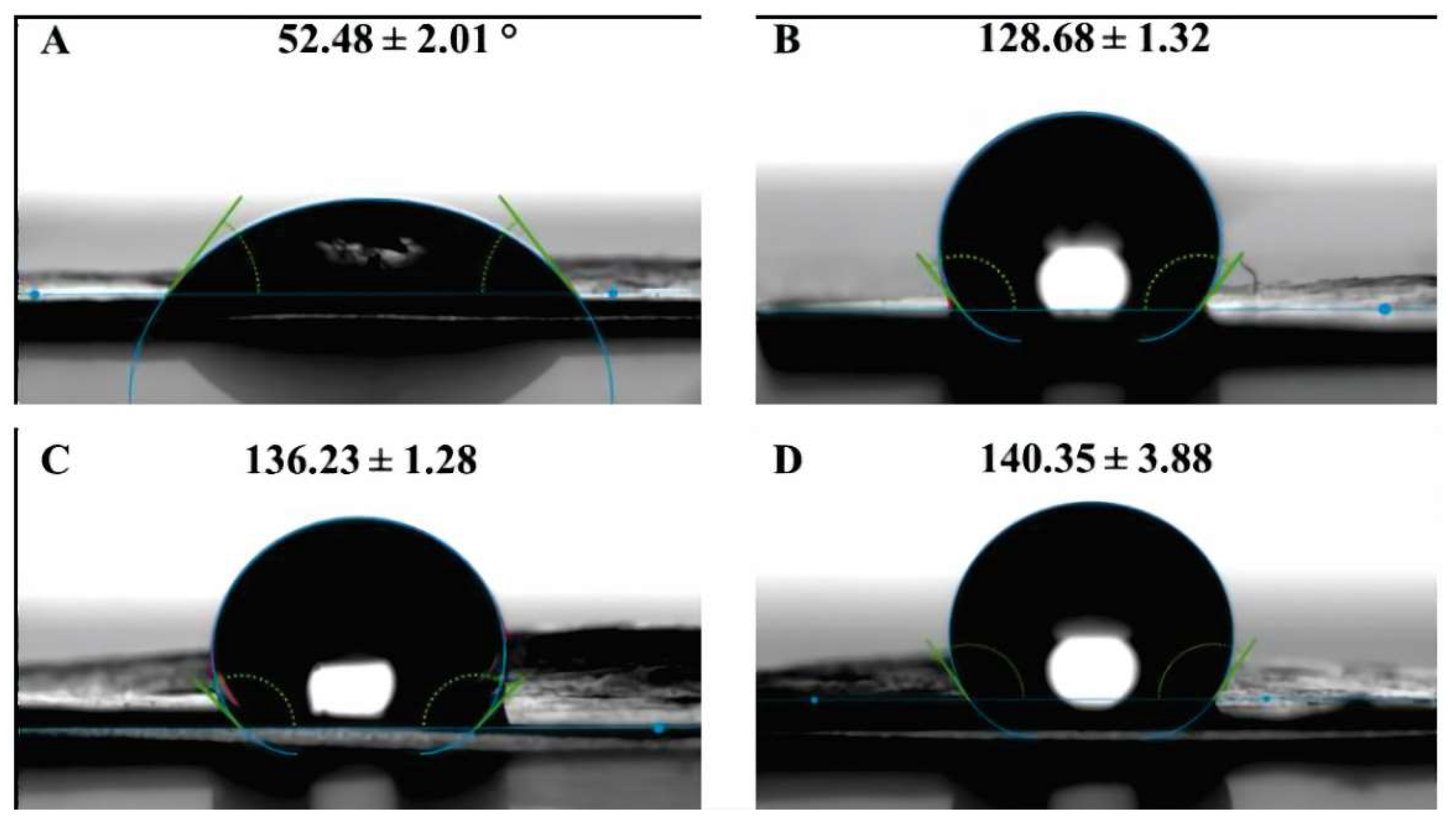 Preprints 142555 g003