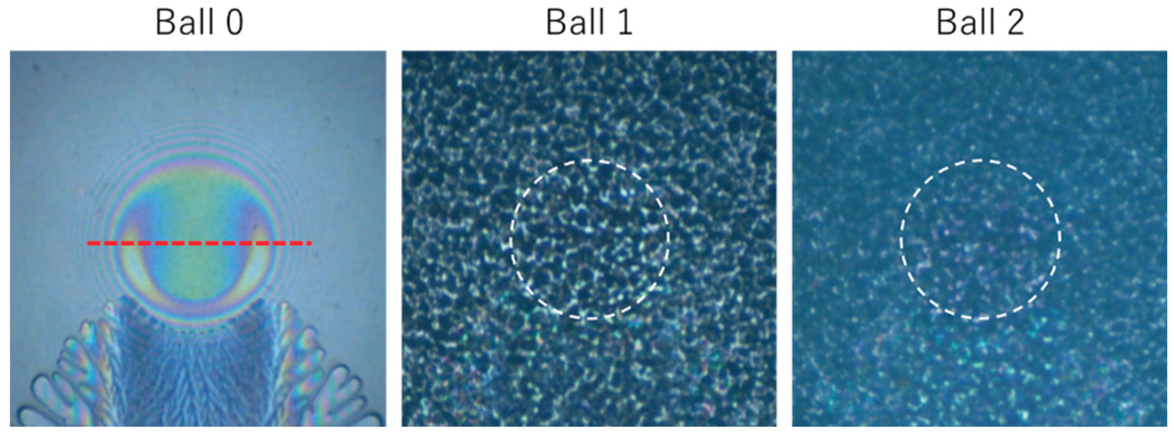 Preprints 201209 g0a5