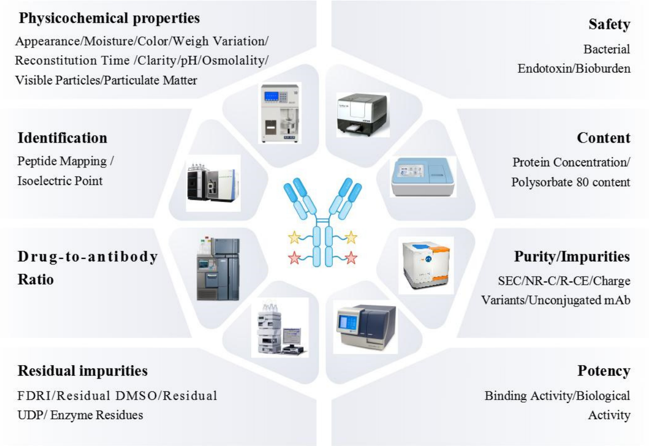 Advancements in Dual-Load Antibody–Drug Conjugates and Challenges