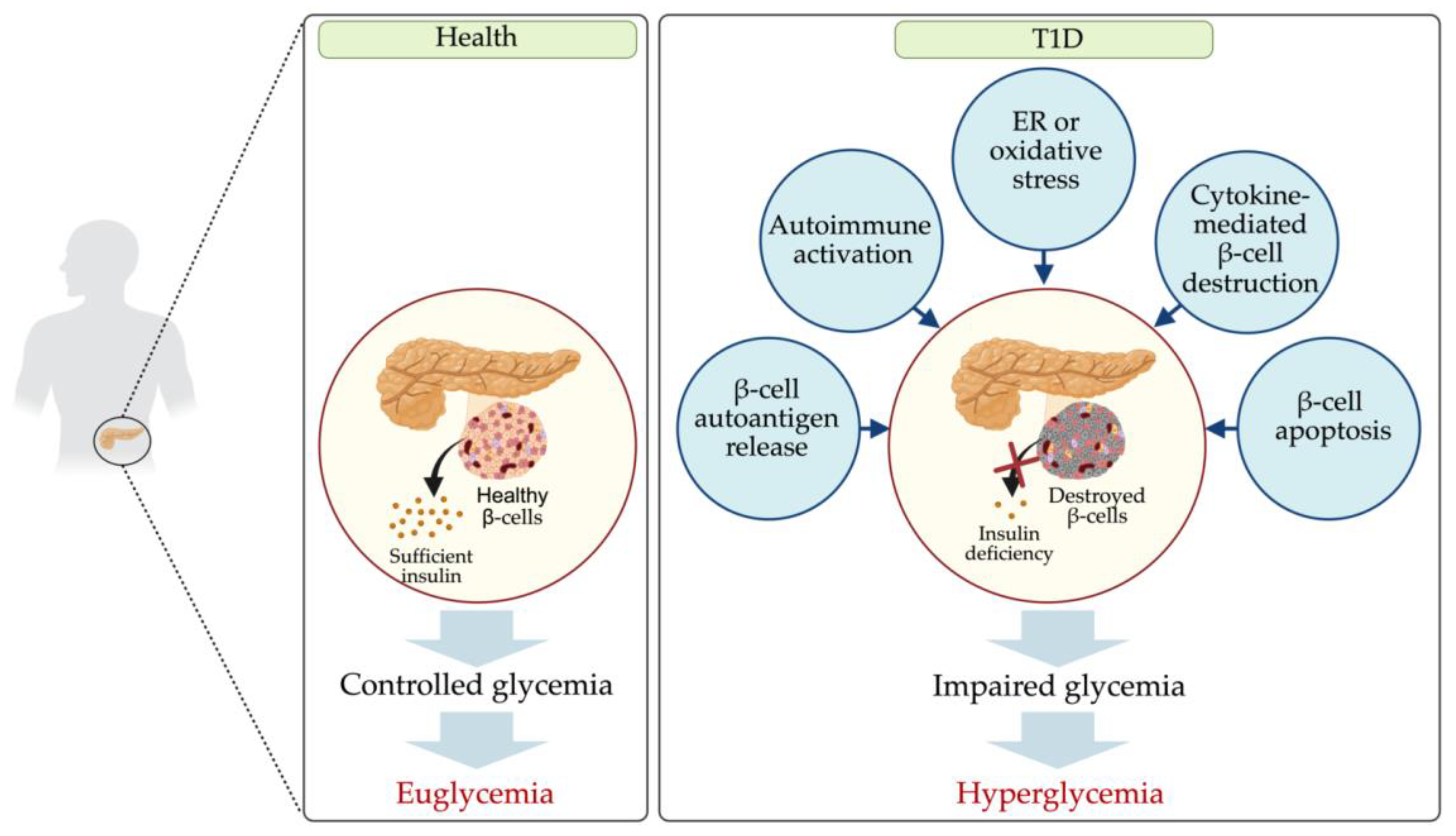 Preprints 150218 g001