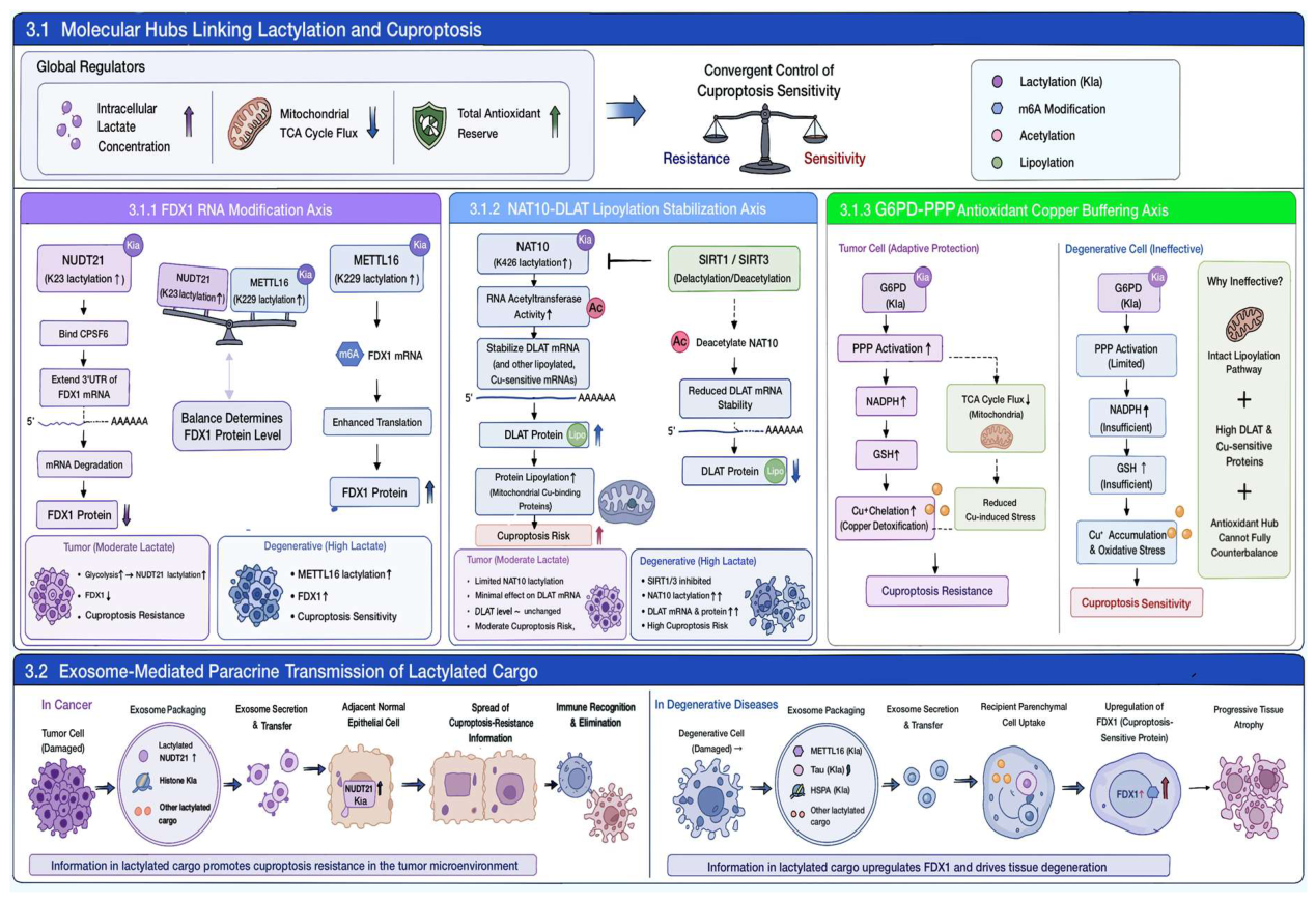 Preprints 231050 g001 Preprints 231050 g001