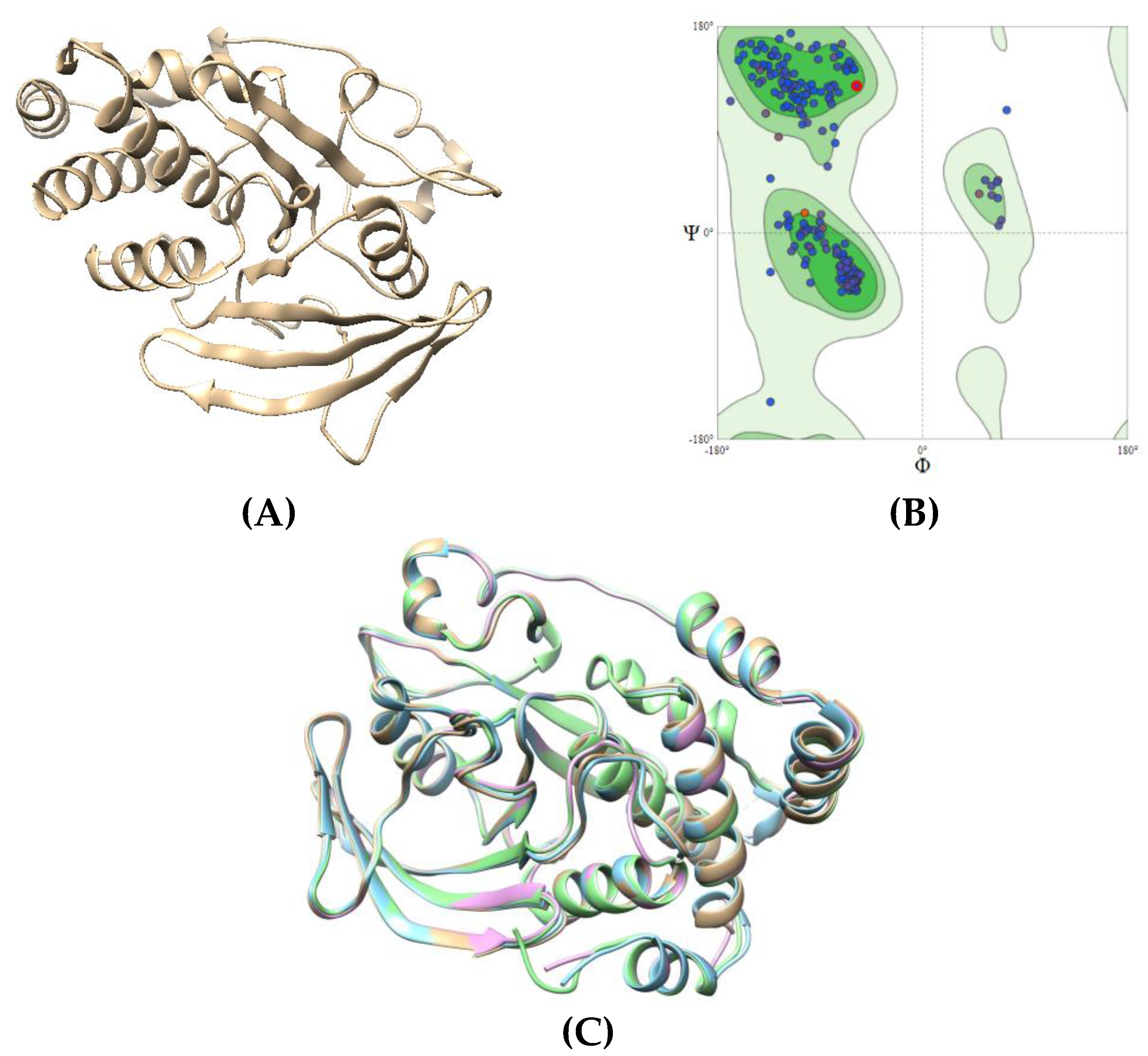 Preprints 71751 g006