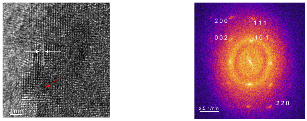 Preprints 210109 g003