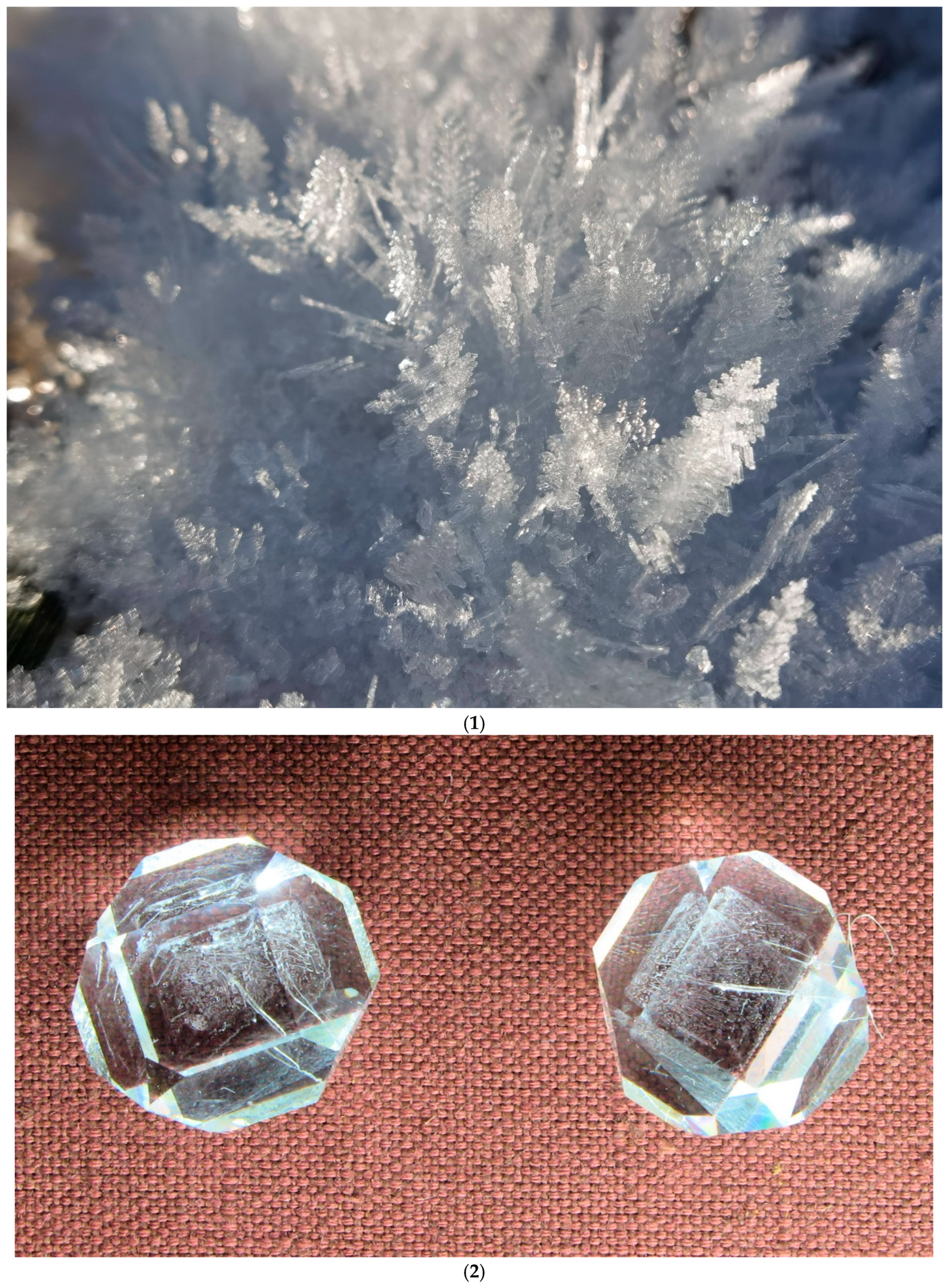 Preprints 191464 g001