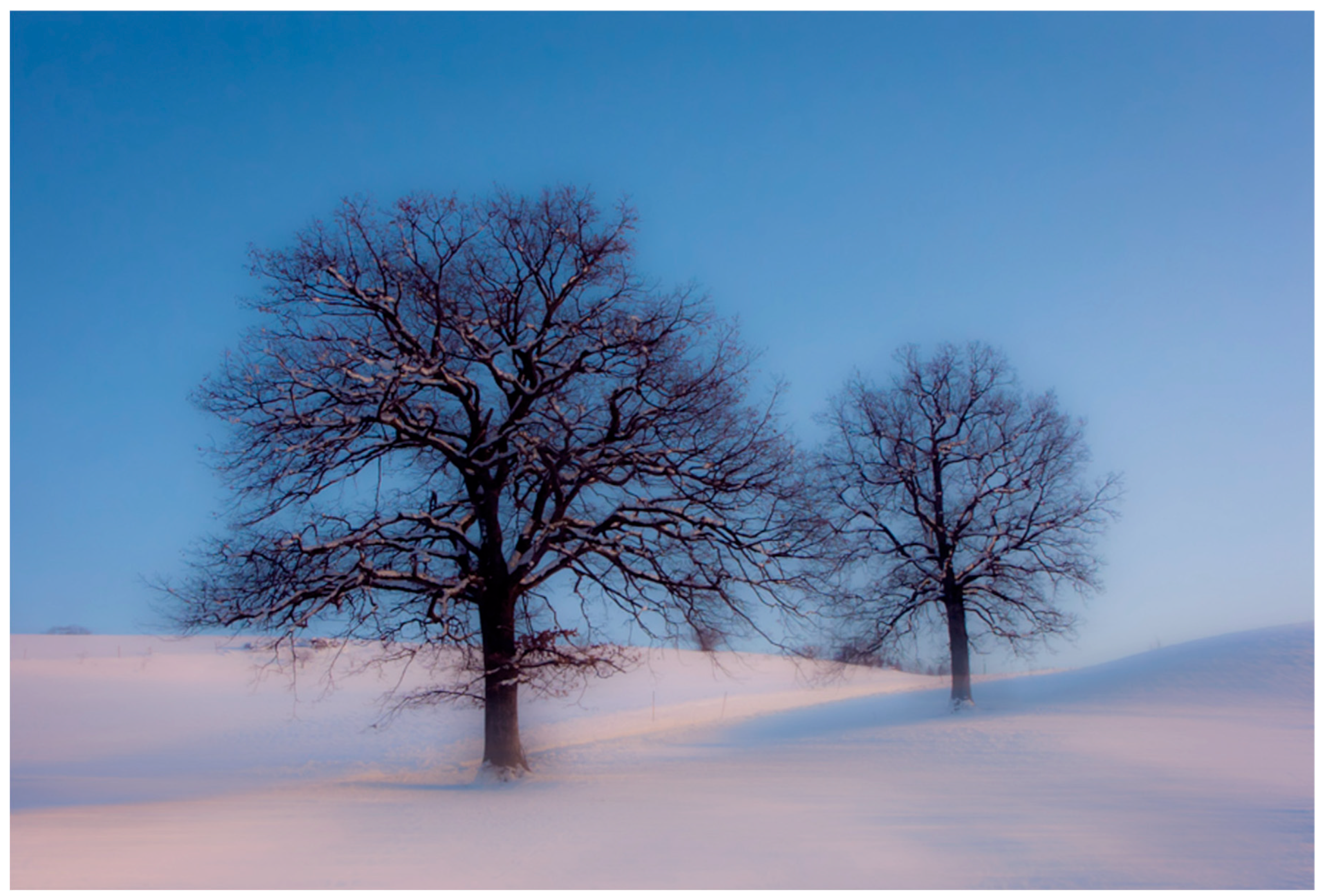 Preprints 191464 g002