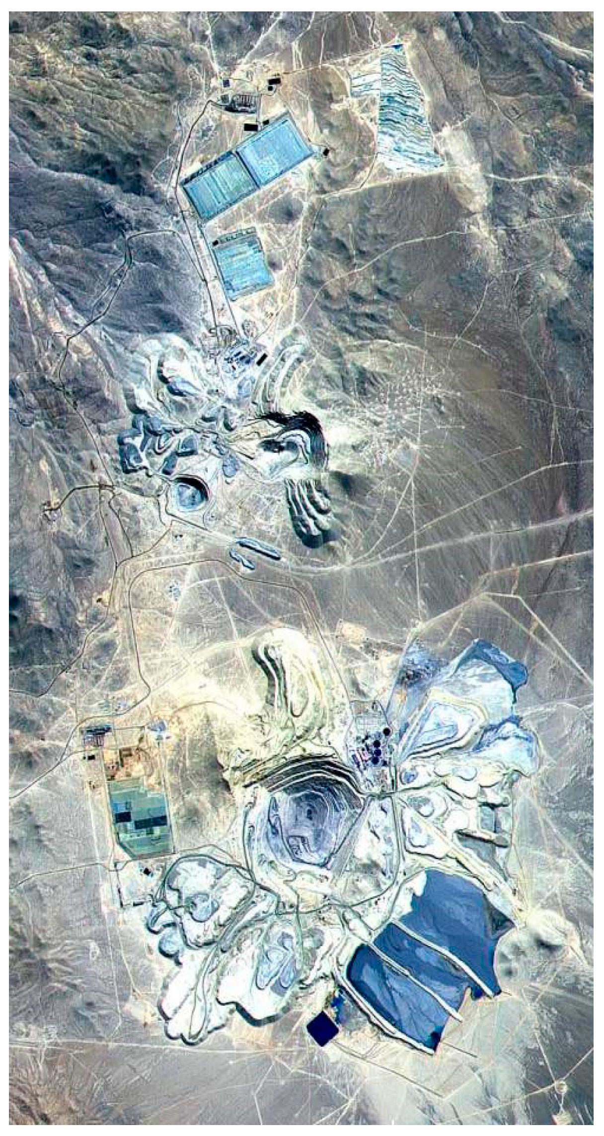 Preprints 191464 g007