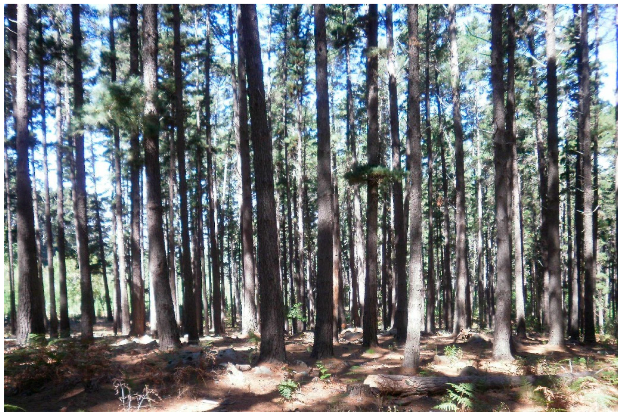 Preprints 191464 g009