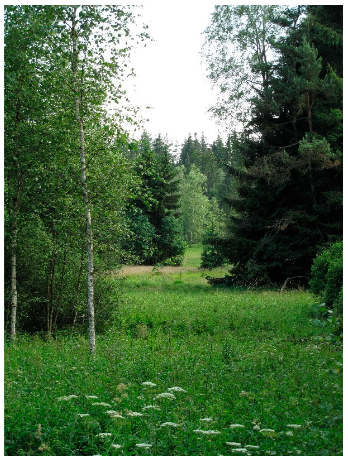 Preprints 191464 g010