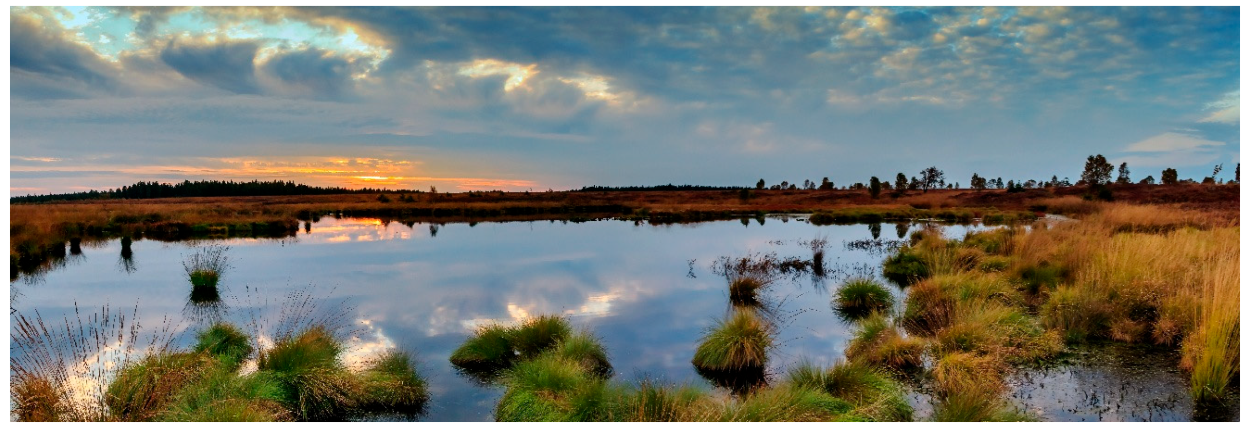 Preprints 191464 g011