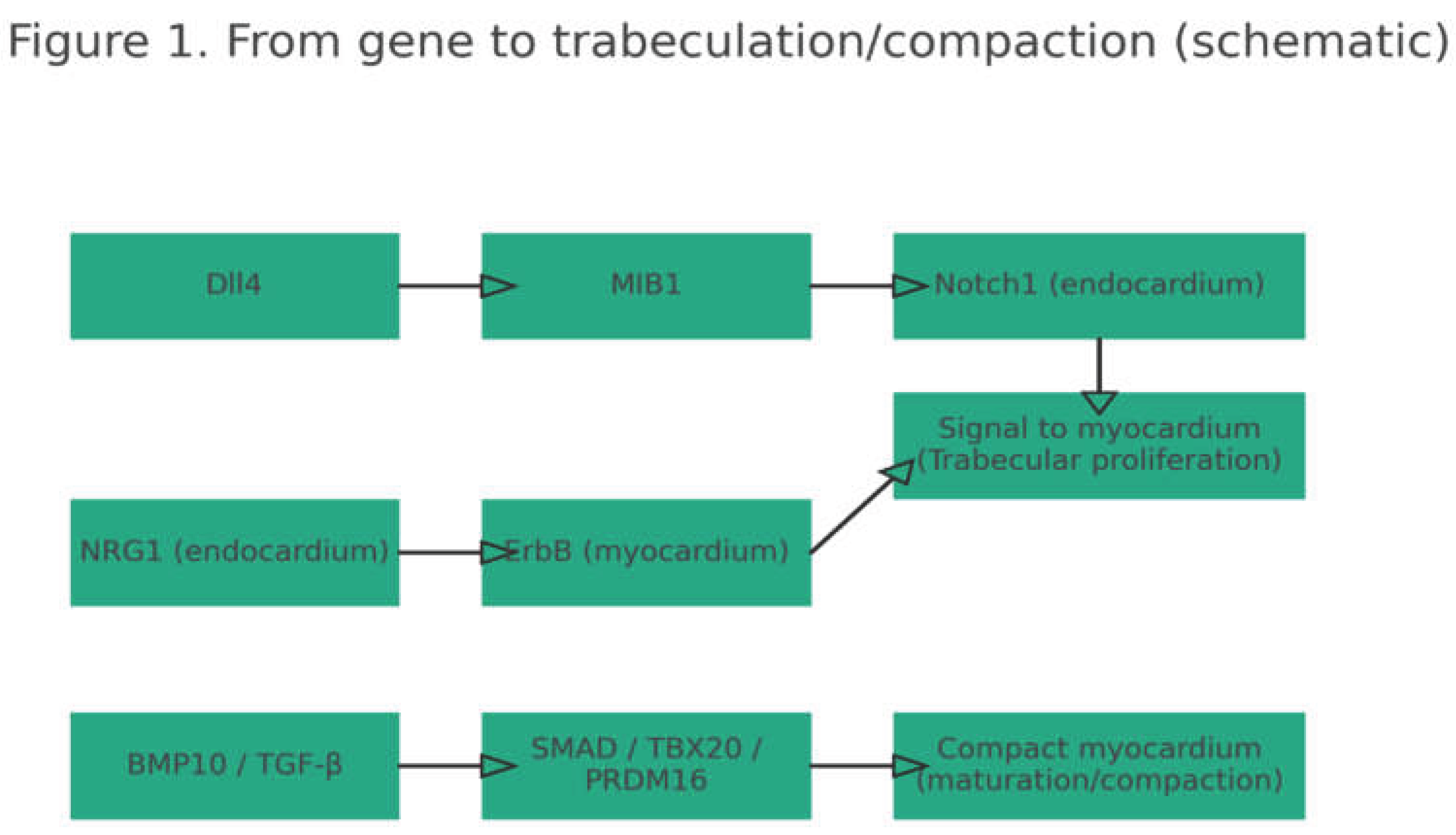 Preprints 175343 g001