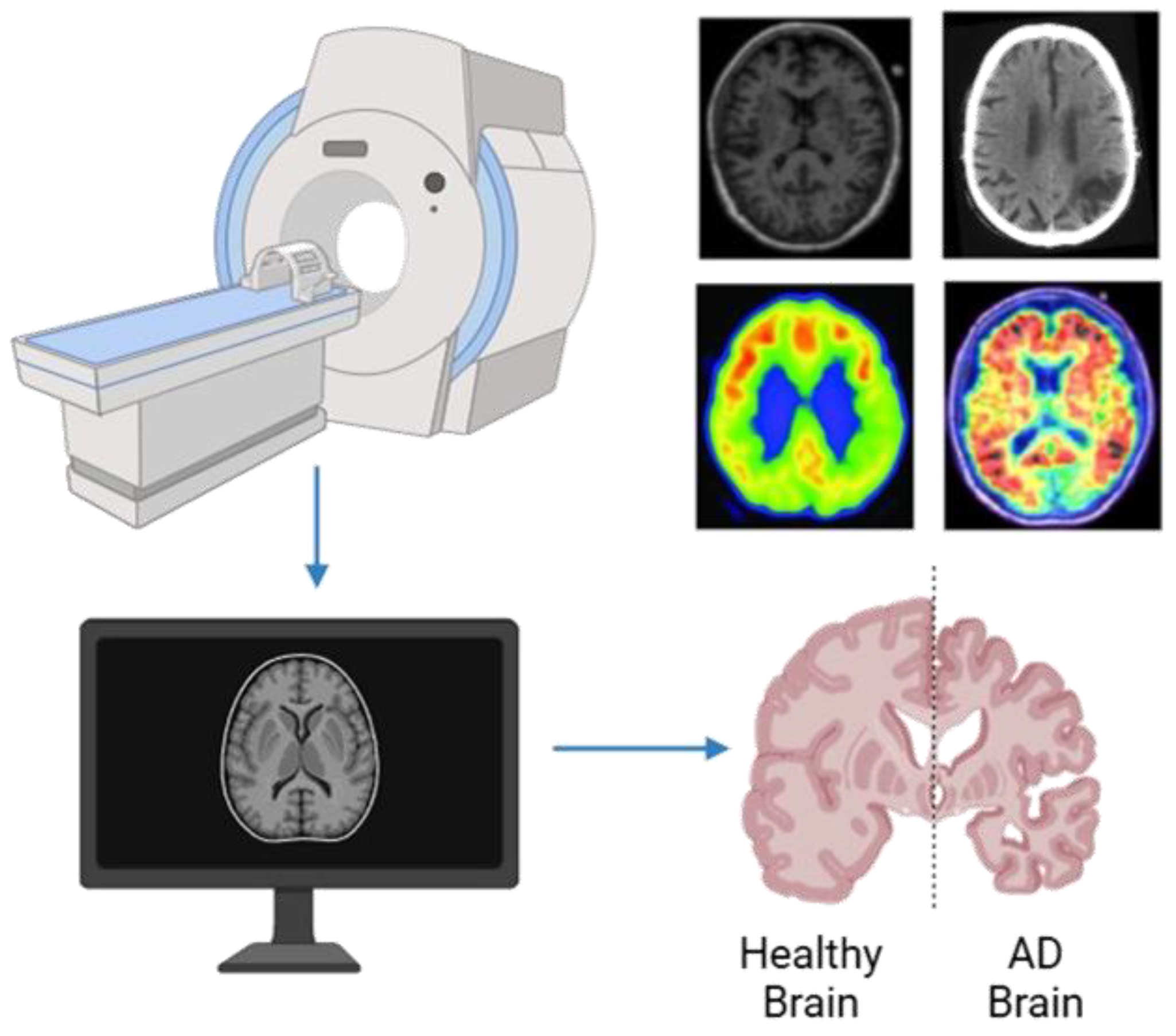 Preprints 164811 g002