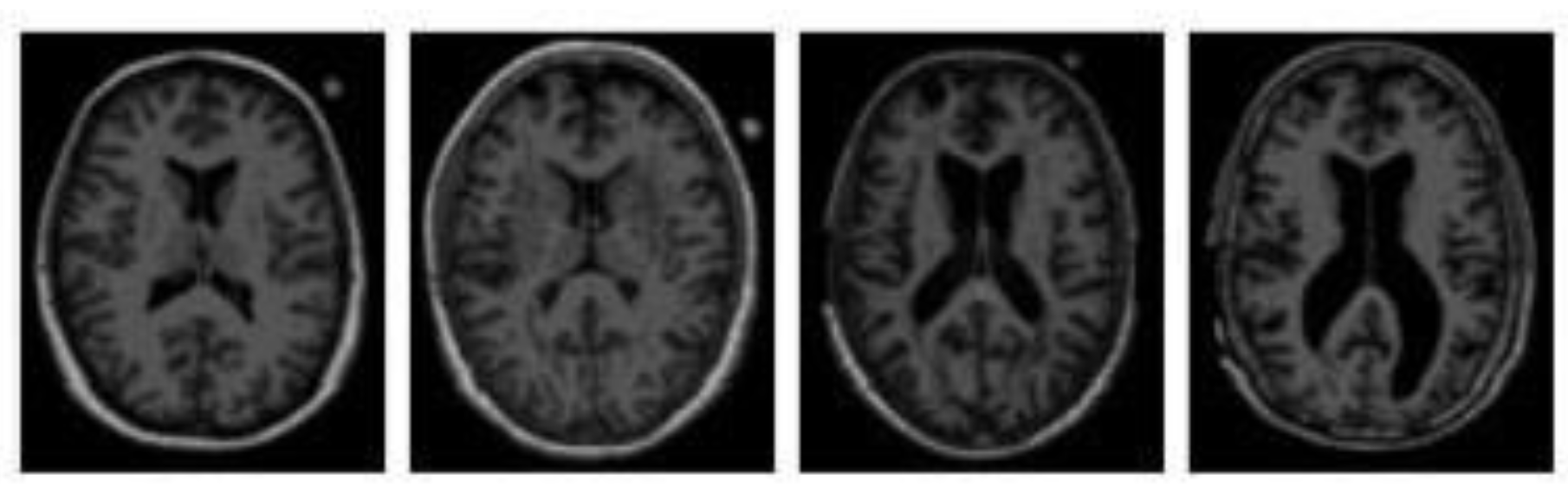 Preprints 164811 g003