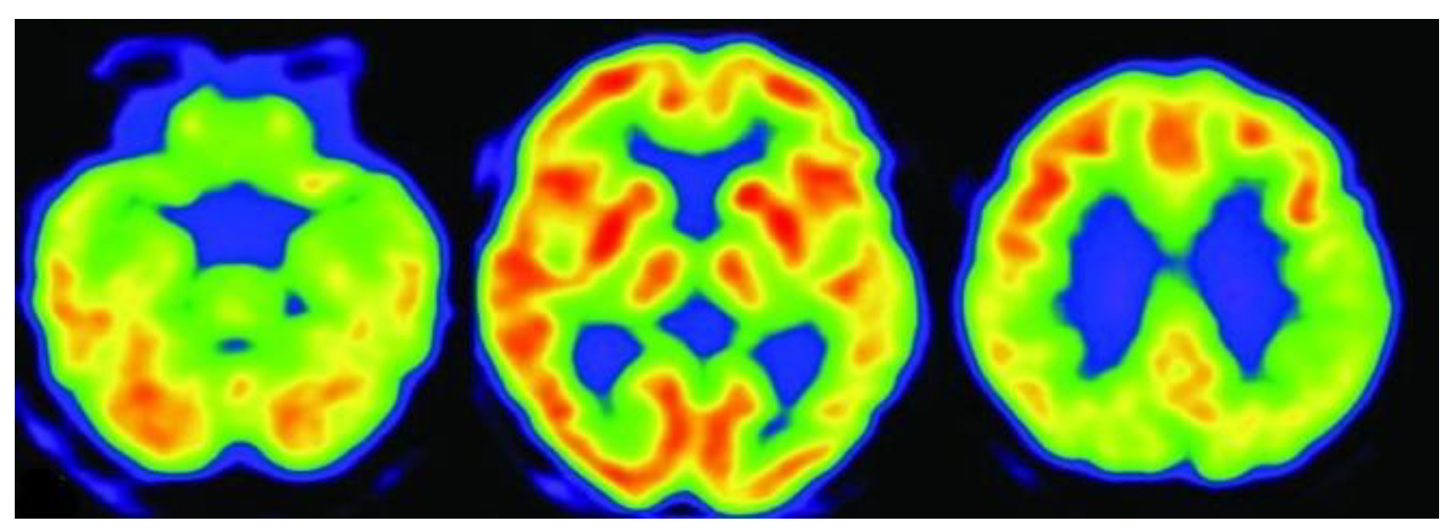 Preprints 164811 g006