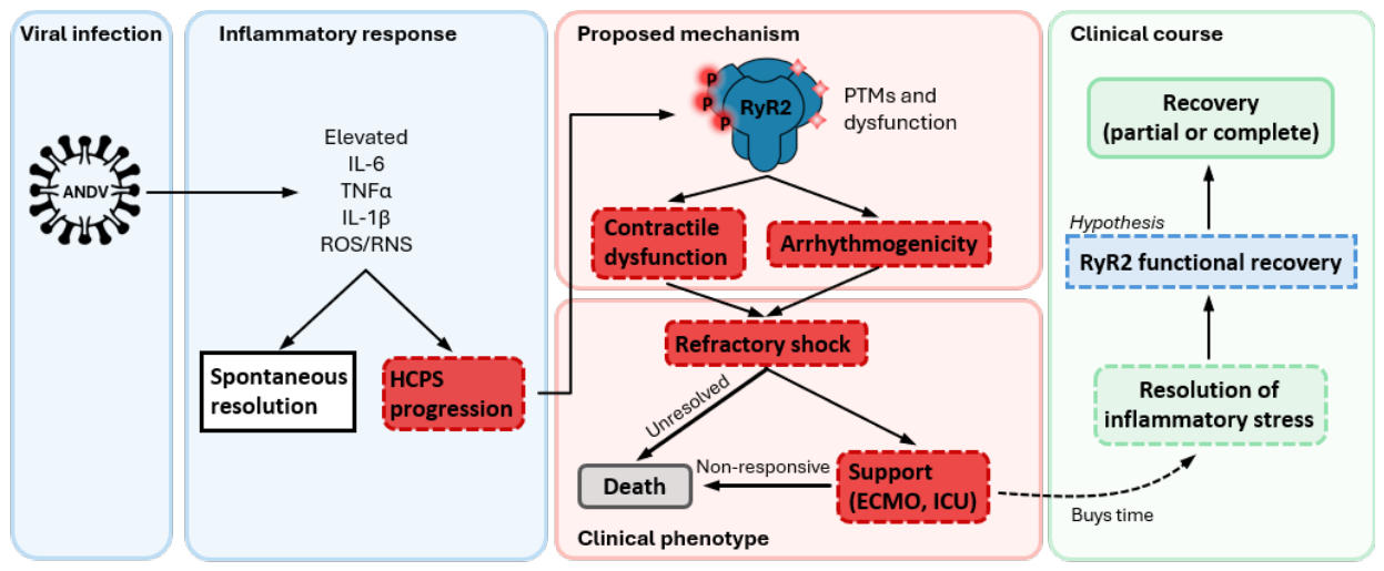 Preprints 238576 g003