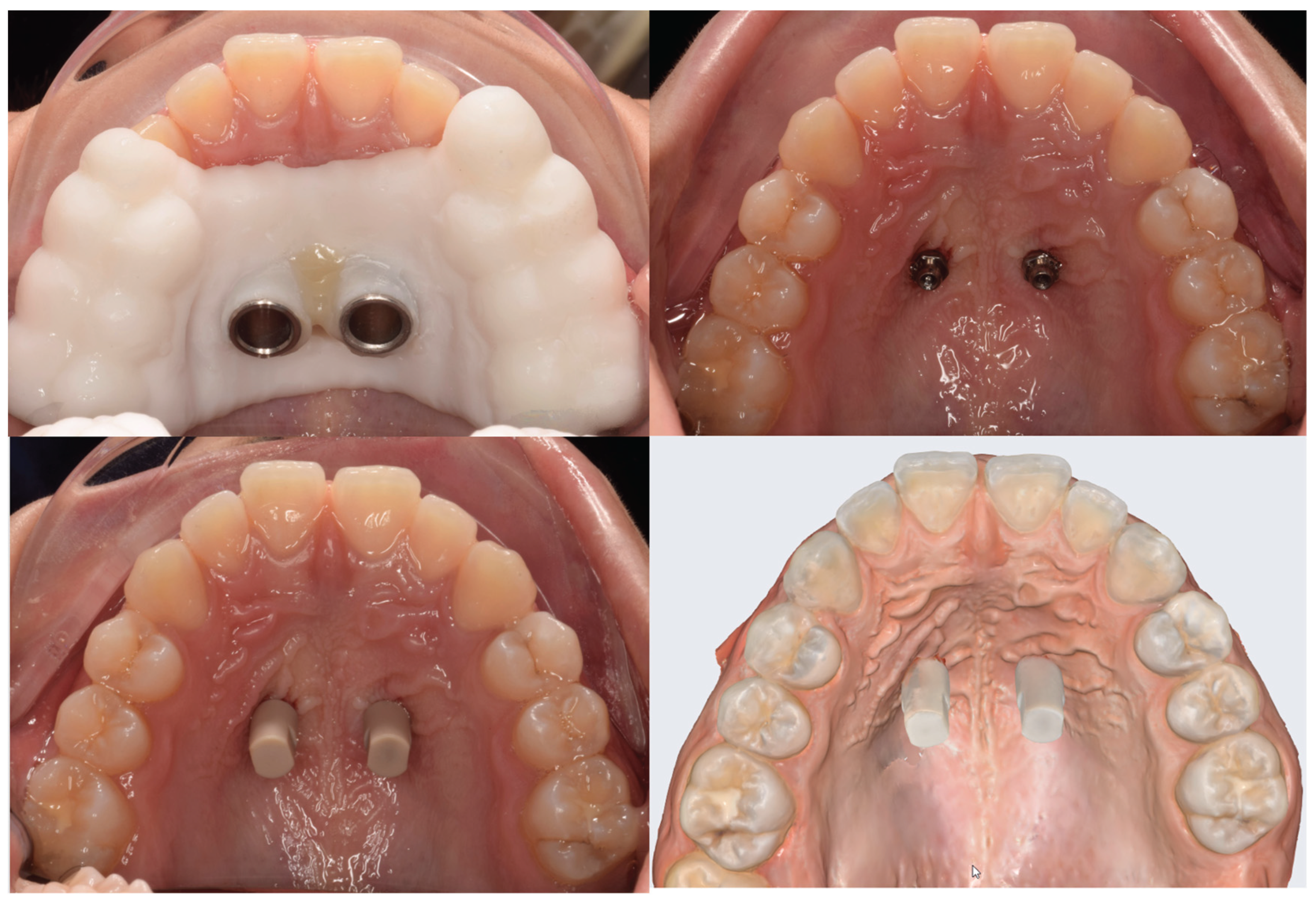 Preprints 161252 g002