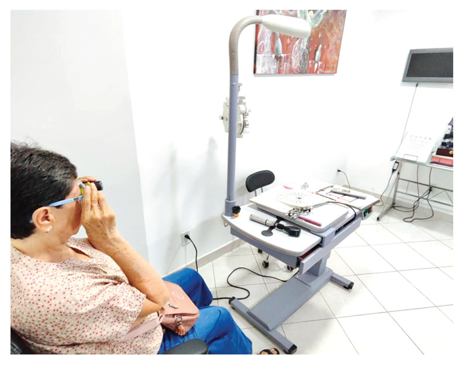 Preprints 165615 g009