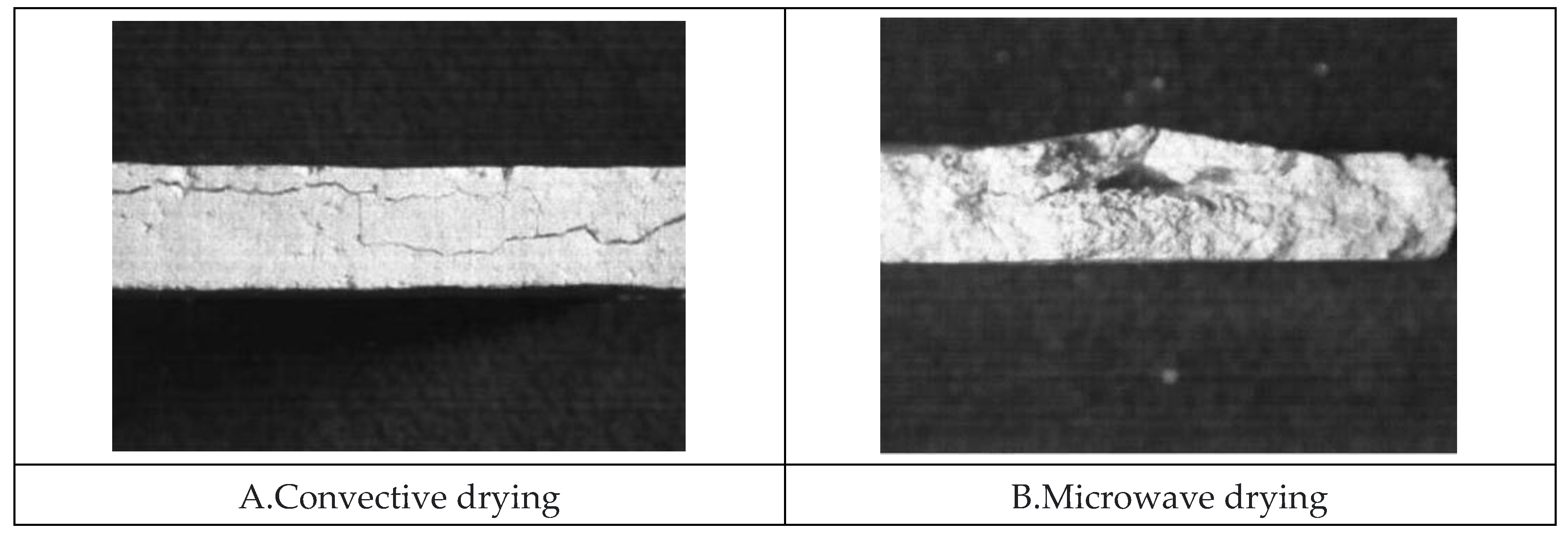 Preprints 159690 g005