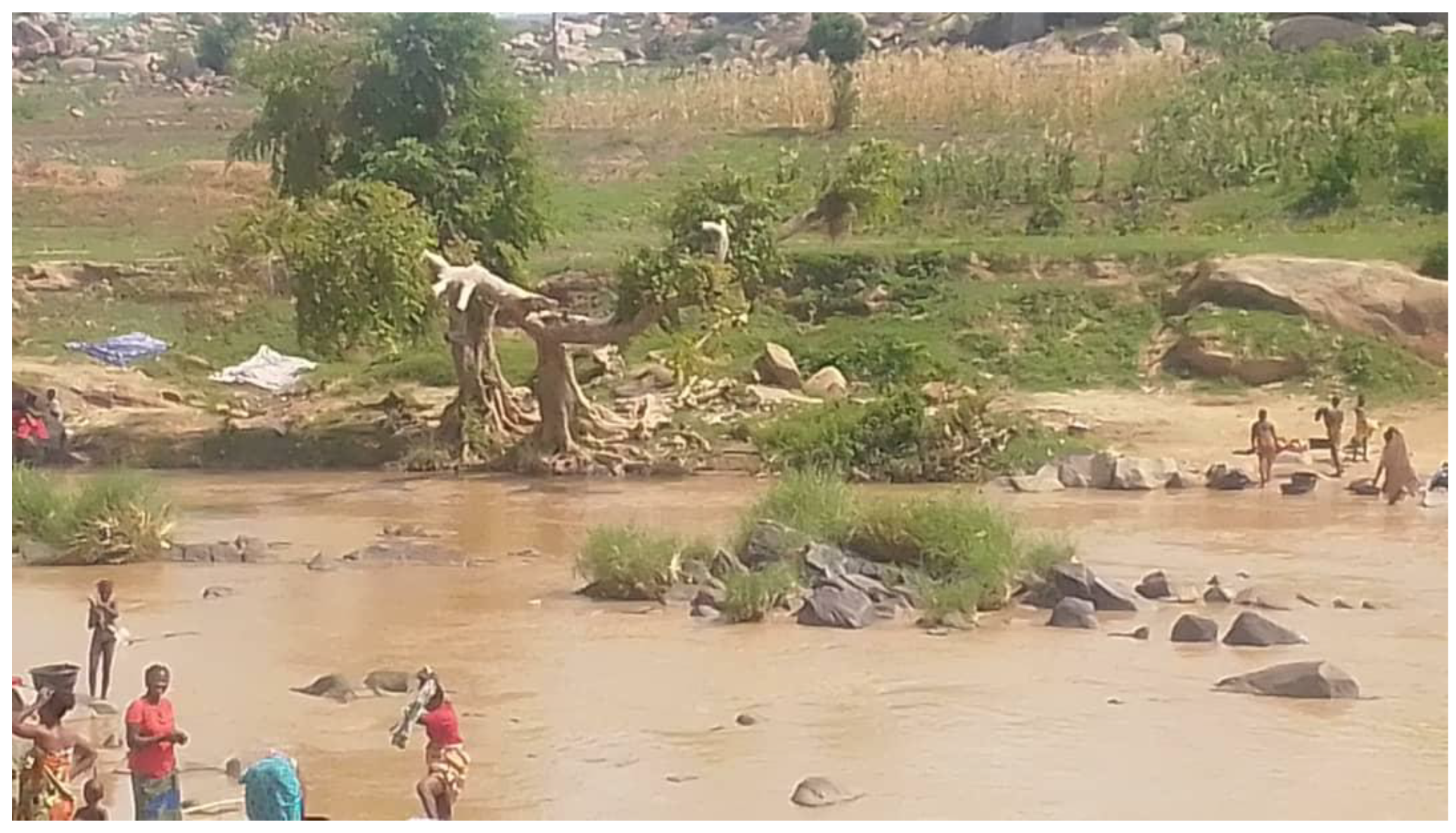 Preprints 191099 g009