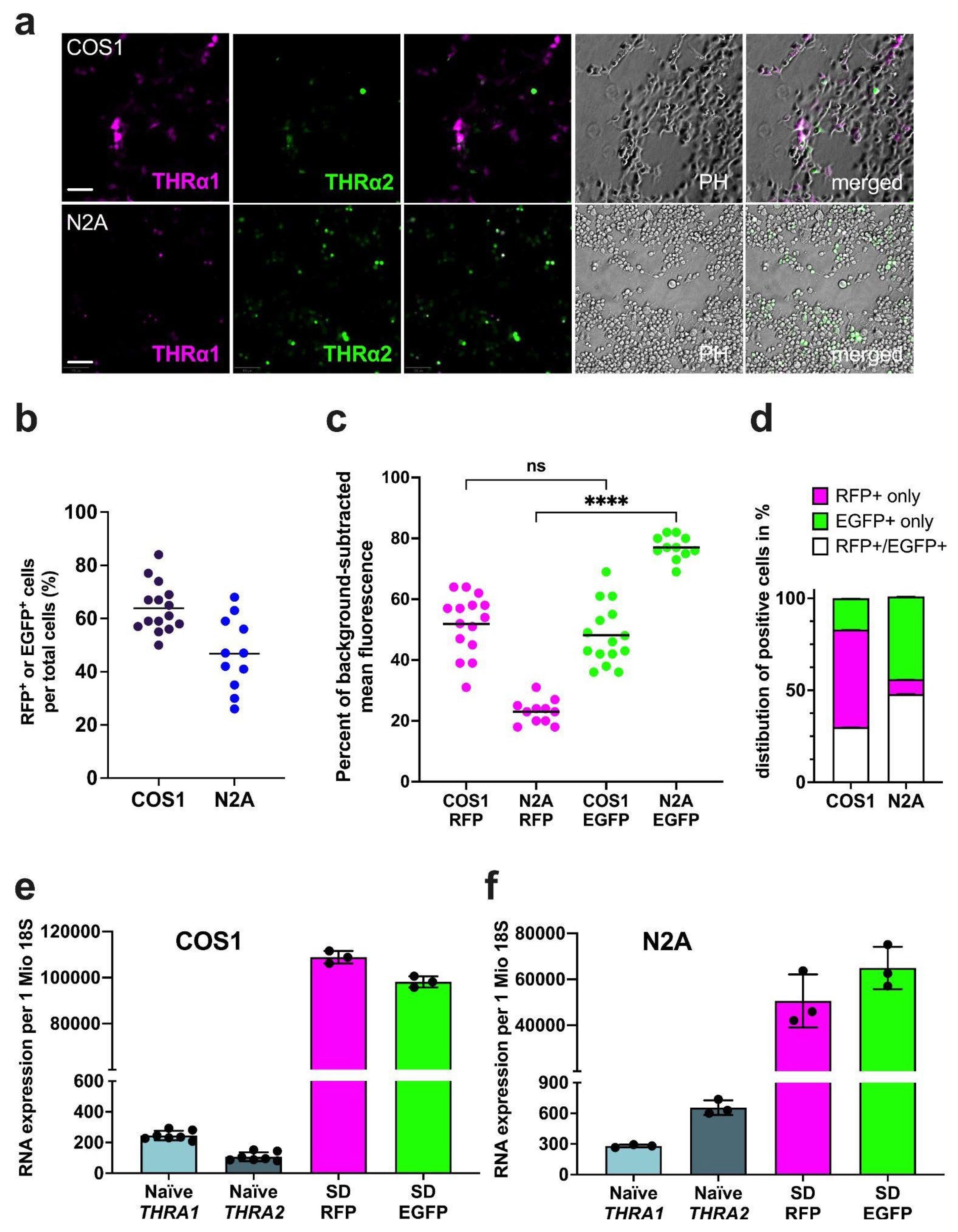 Preprints 139558 g003
