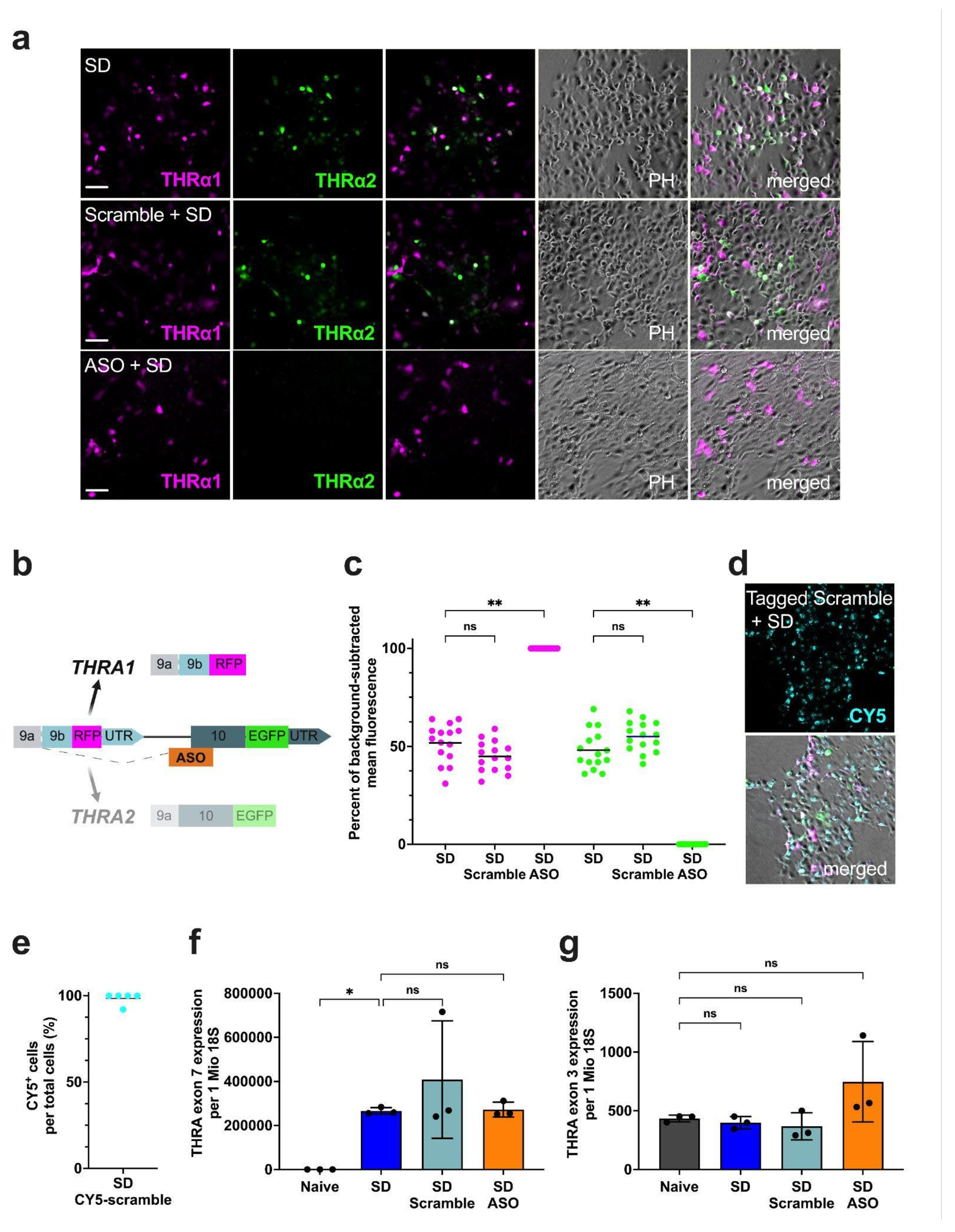 Preprints 139558 g004