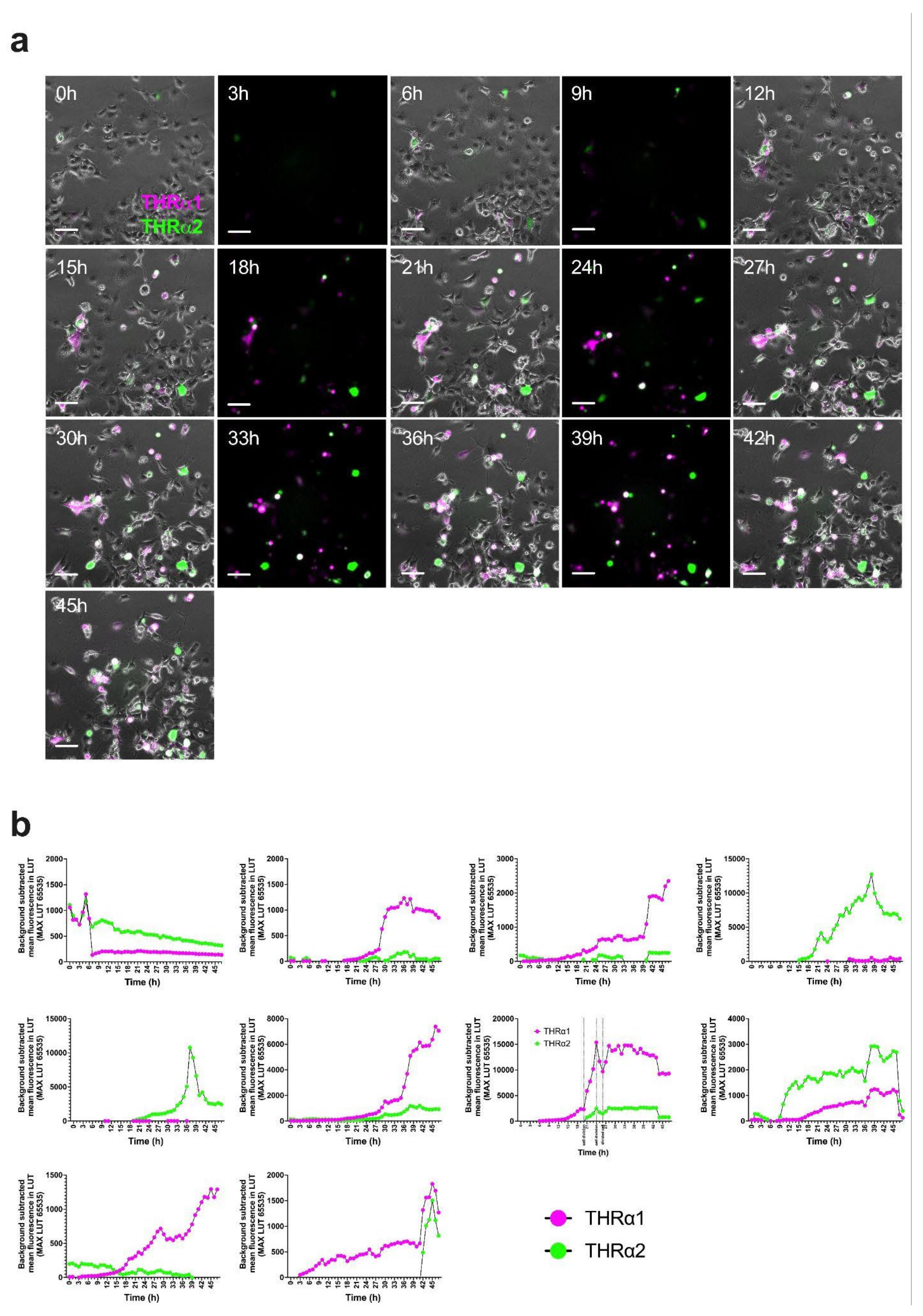 Preprints 139558 g006