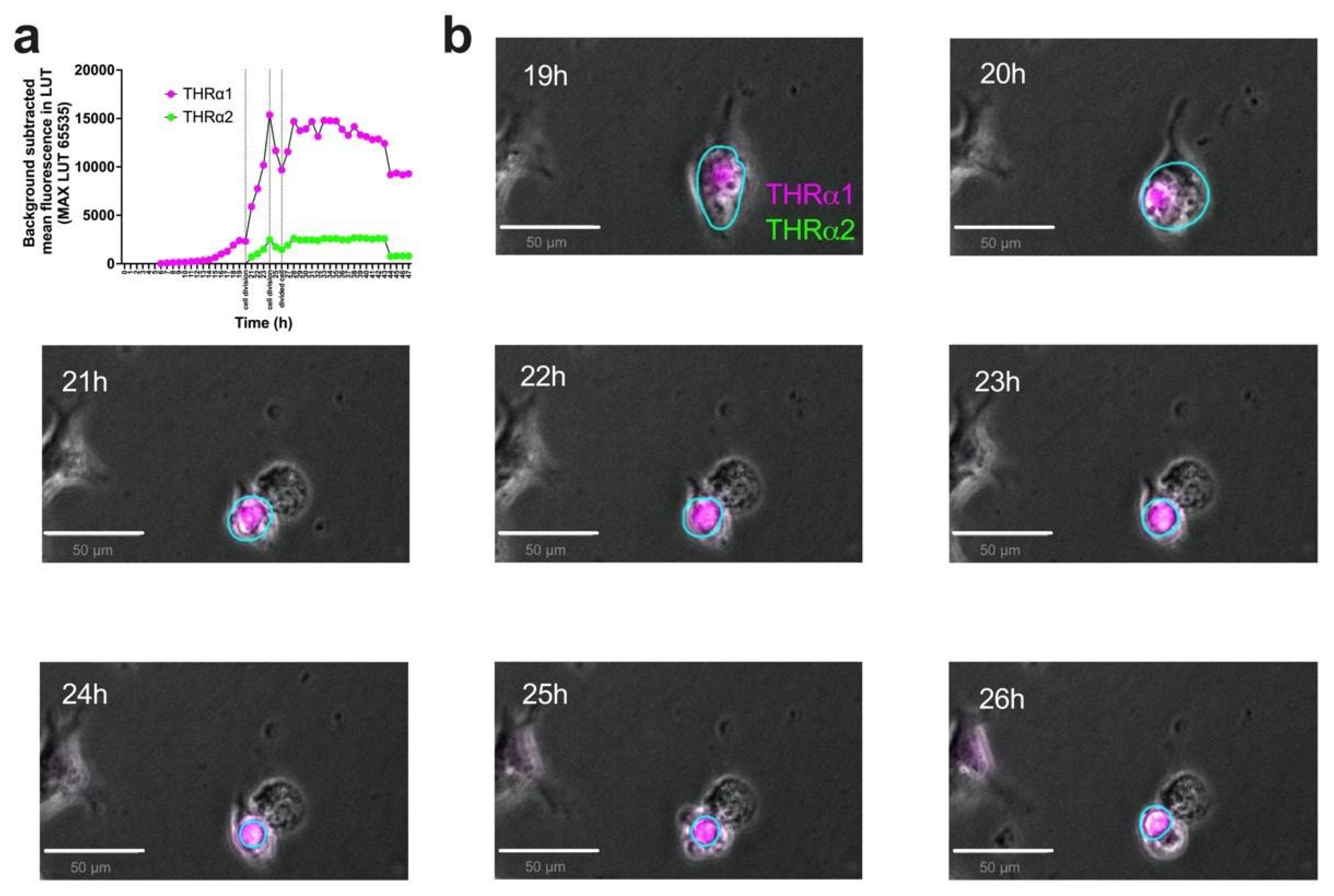 Preprints 139558 g007