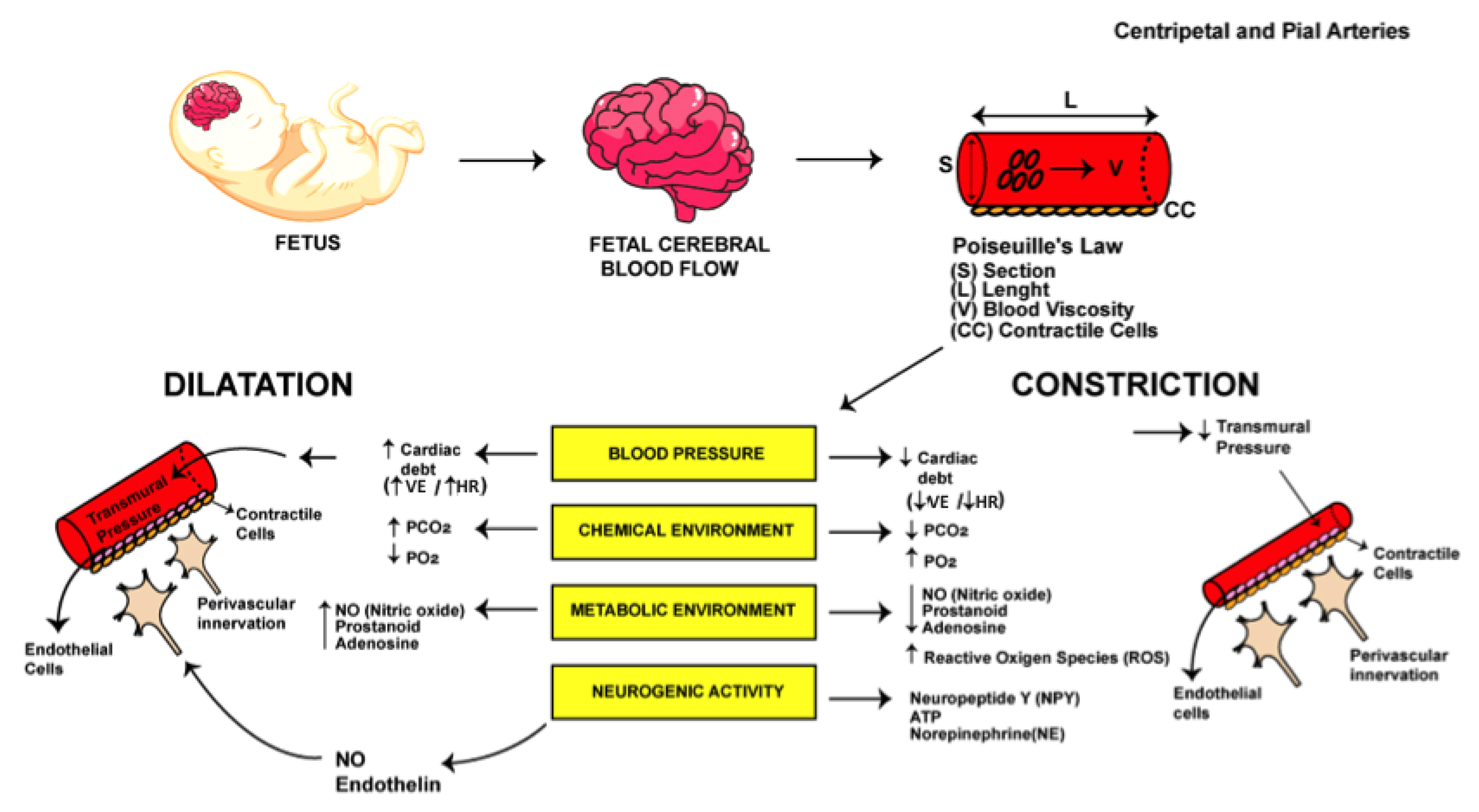 Preprints 175989 g002