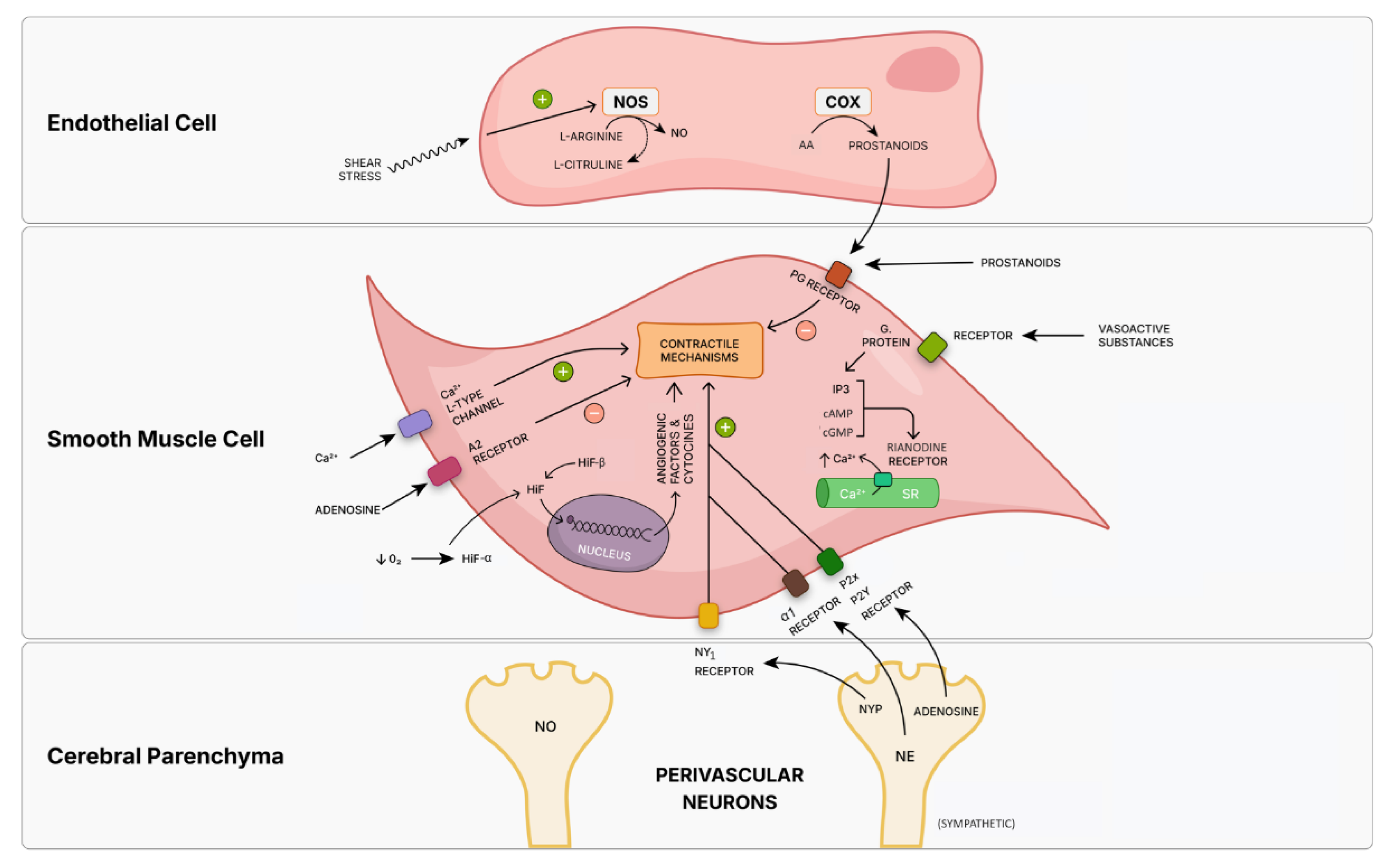 Preprints 175989 g003