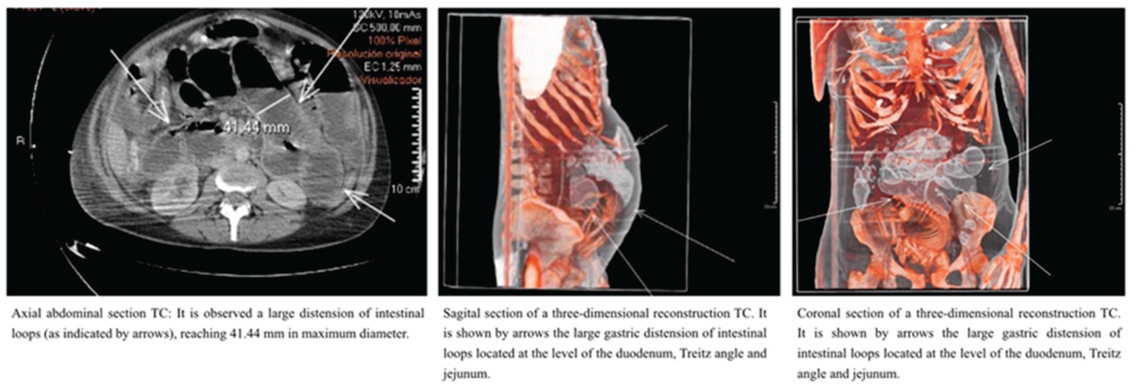Preprints 167580 g001