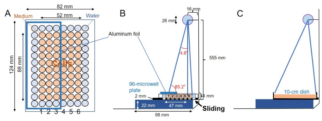 Preprints 231191 g002 Preprints 231191 g002