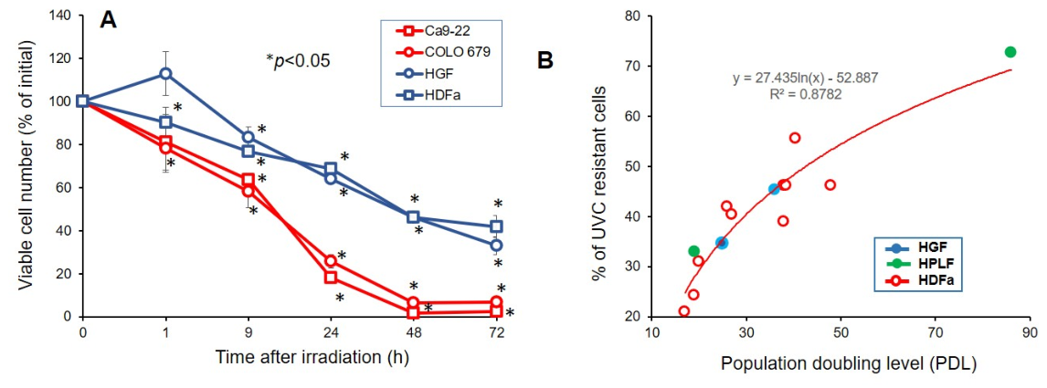 Preprints 231191 g003 Preprints 231191 g003