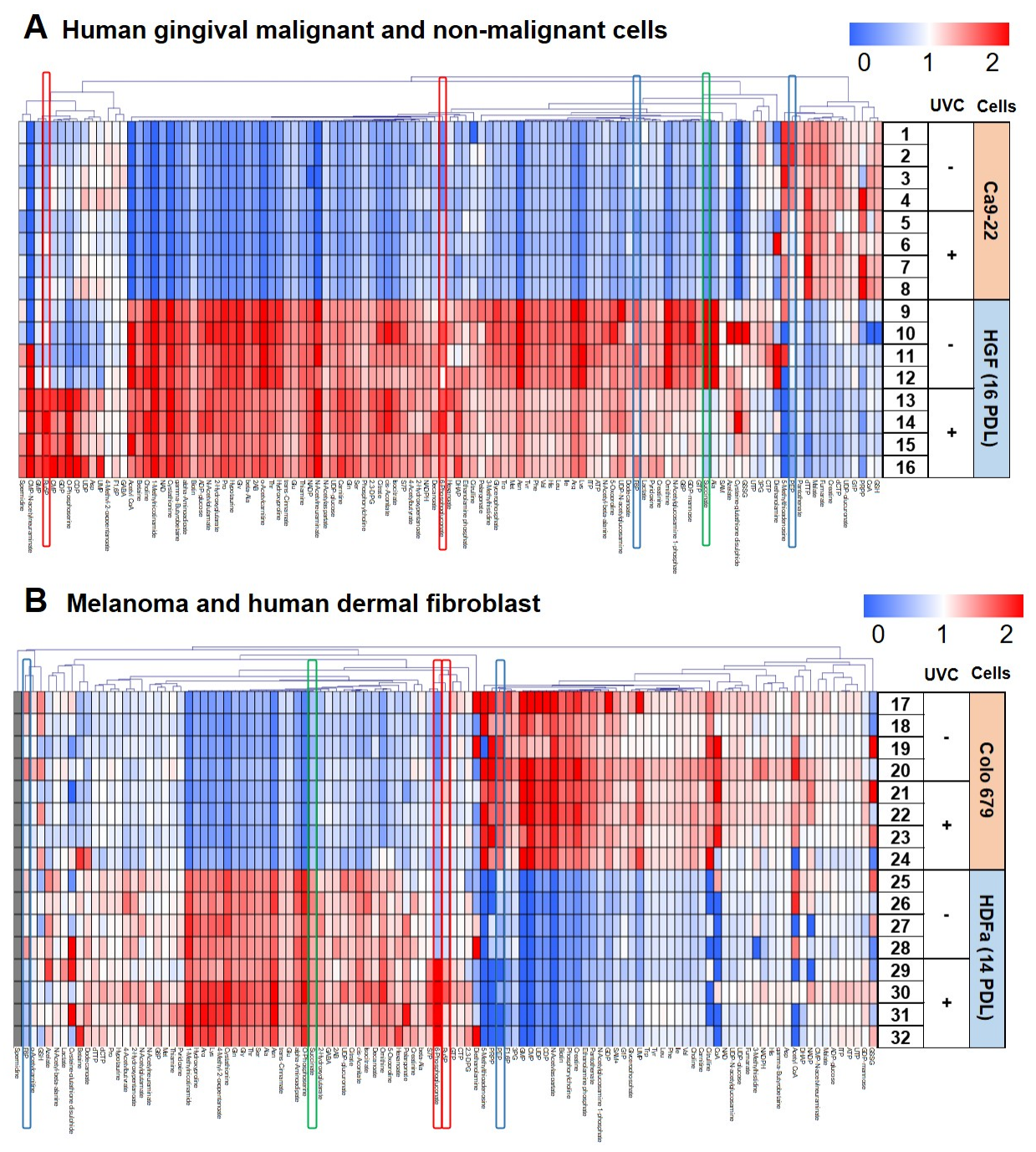 Preprints 231191 g004 Preprints 231191 g004