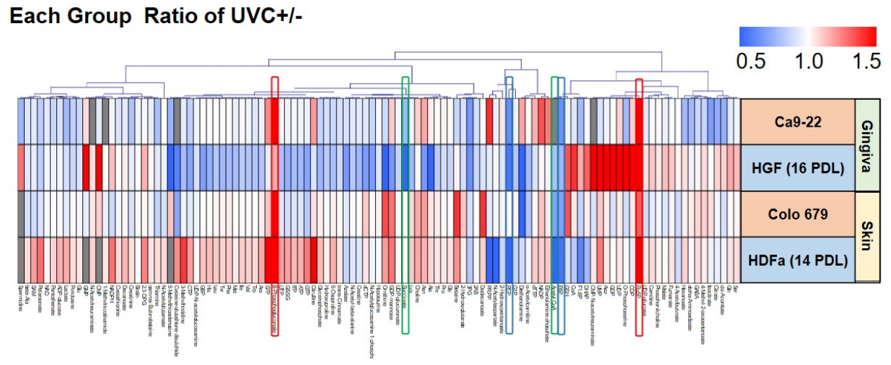 Preprints 231191 g006 Preprints 231191 g006
