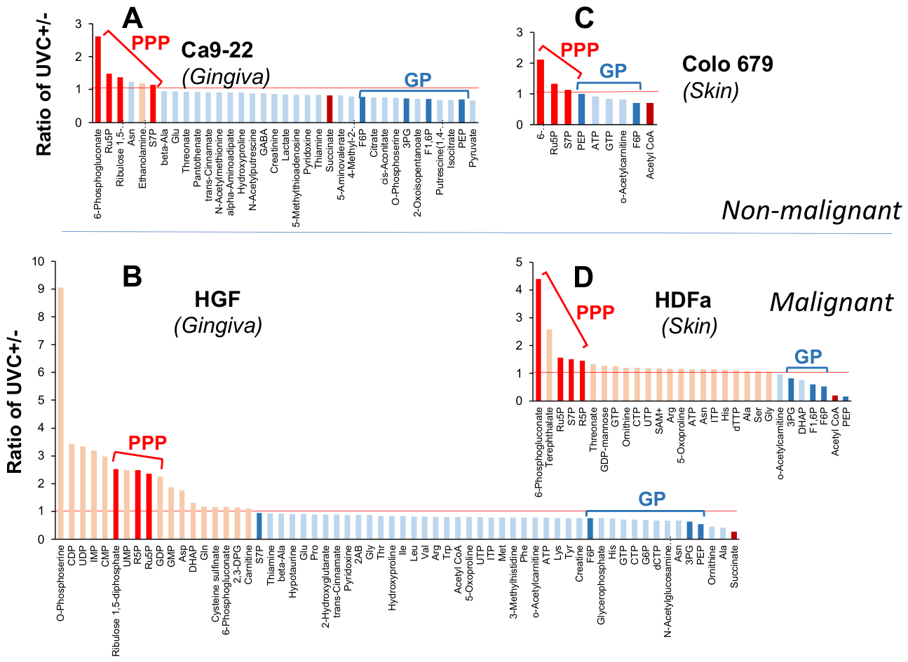 Preprints 231191 g007 Preprints 231191 g007