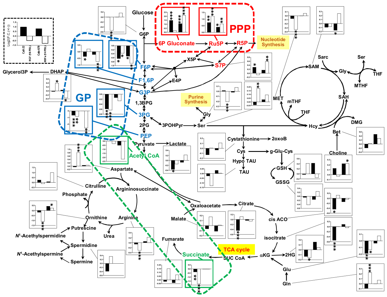 Preprints 231191 g009 Preprints 231191 g009